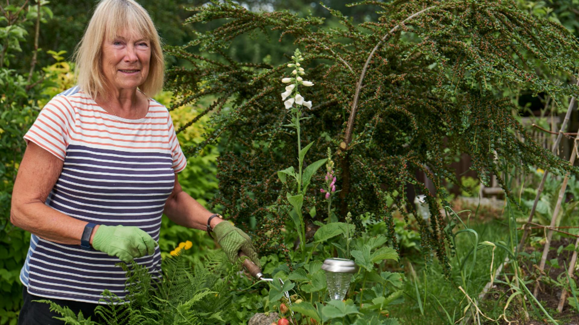 Cum să scapi, în mod natural, de musculițele albe de pe plante. Sfaturi utile pe care trebuie să le urmezi