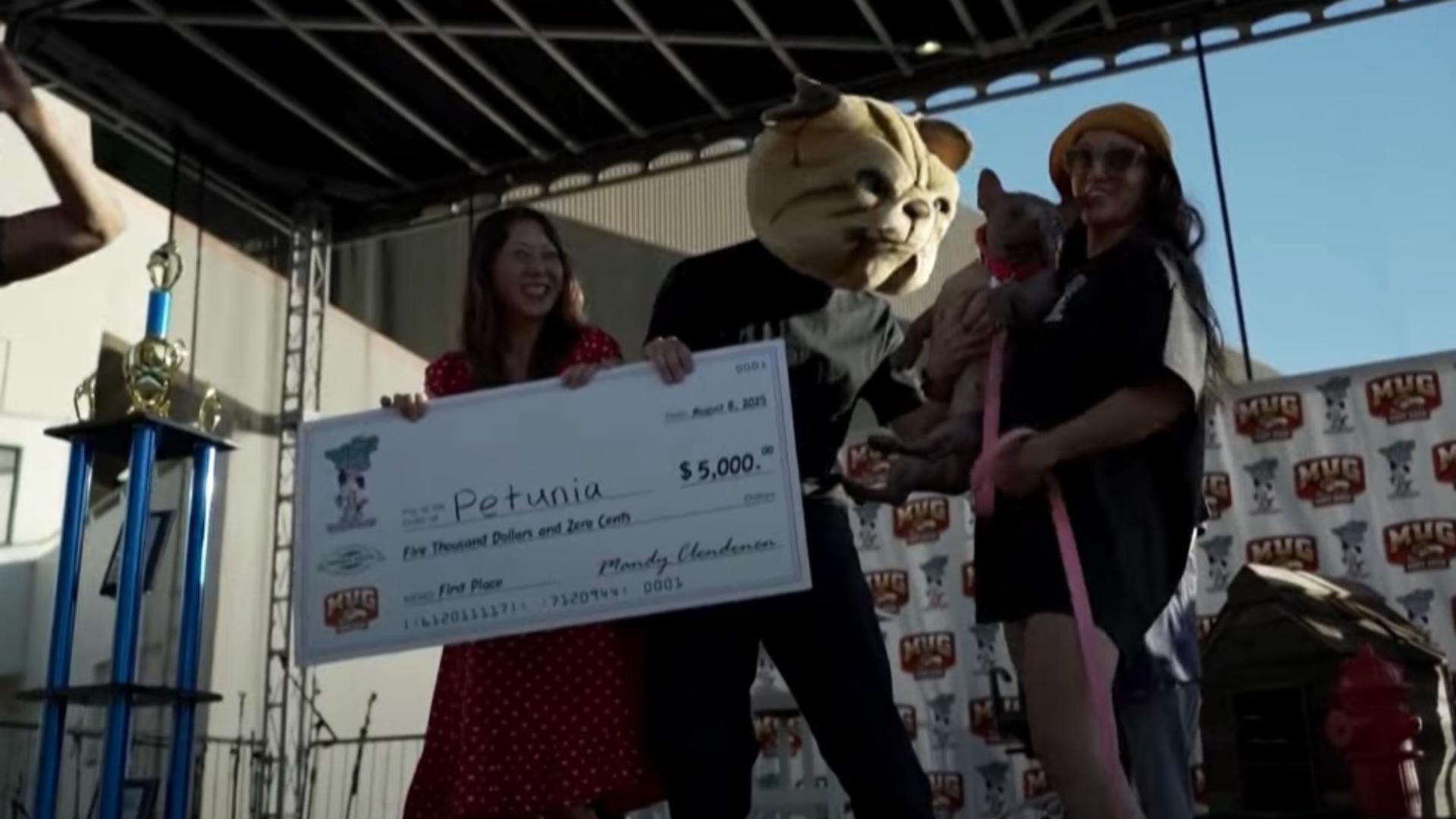 Petunia este urât, dar mai bogat cu 5.000 de dolari. Foto/Captură video