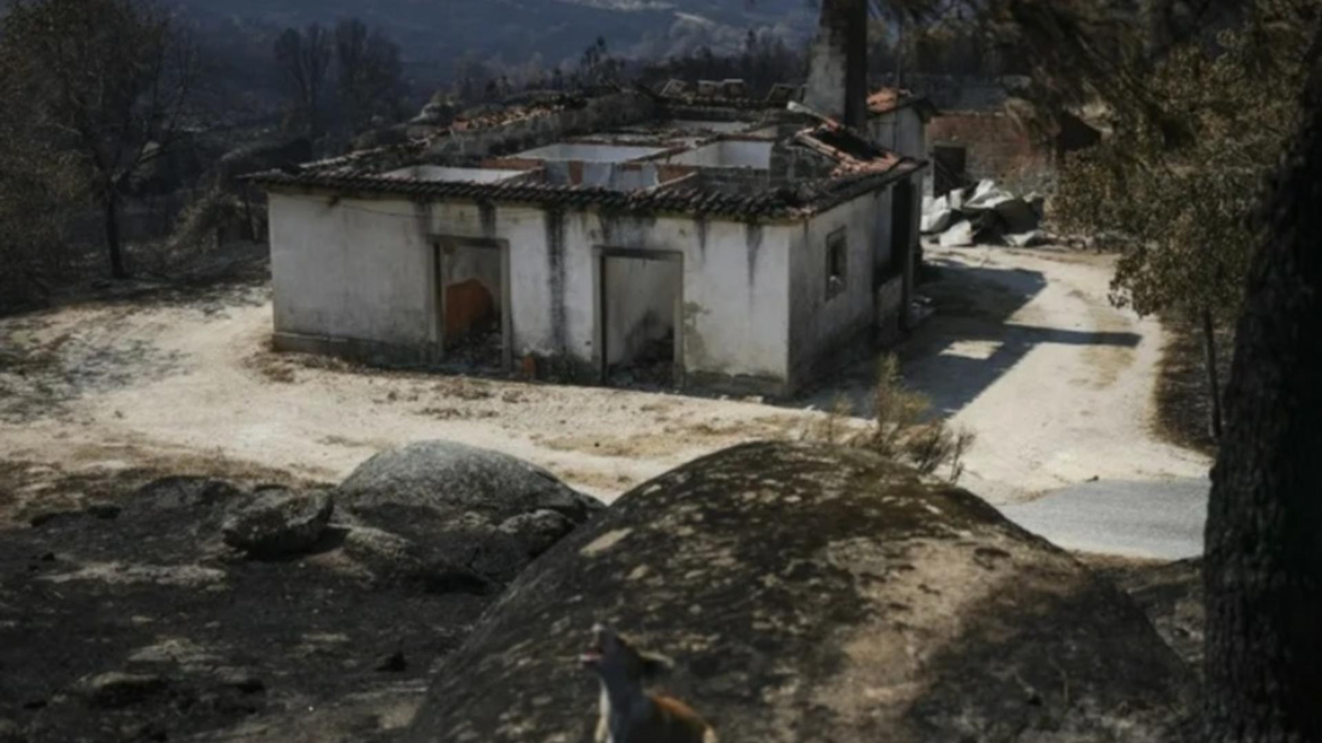 Portugalia, lovită de cel mai mare incendiu de pădure din istorie: peste 64.000 de hectare distruse