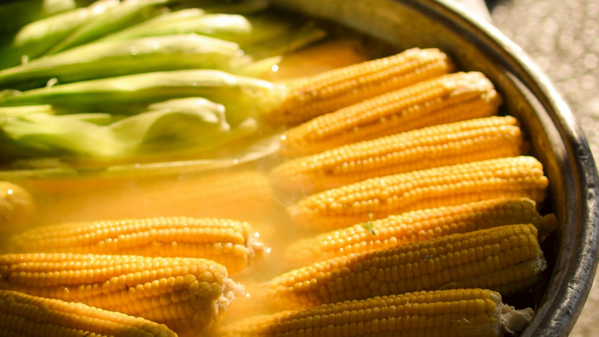 Cum să alegi porumbul și ce truc să folosești la fierbere pentru a-l frăgezi