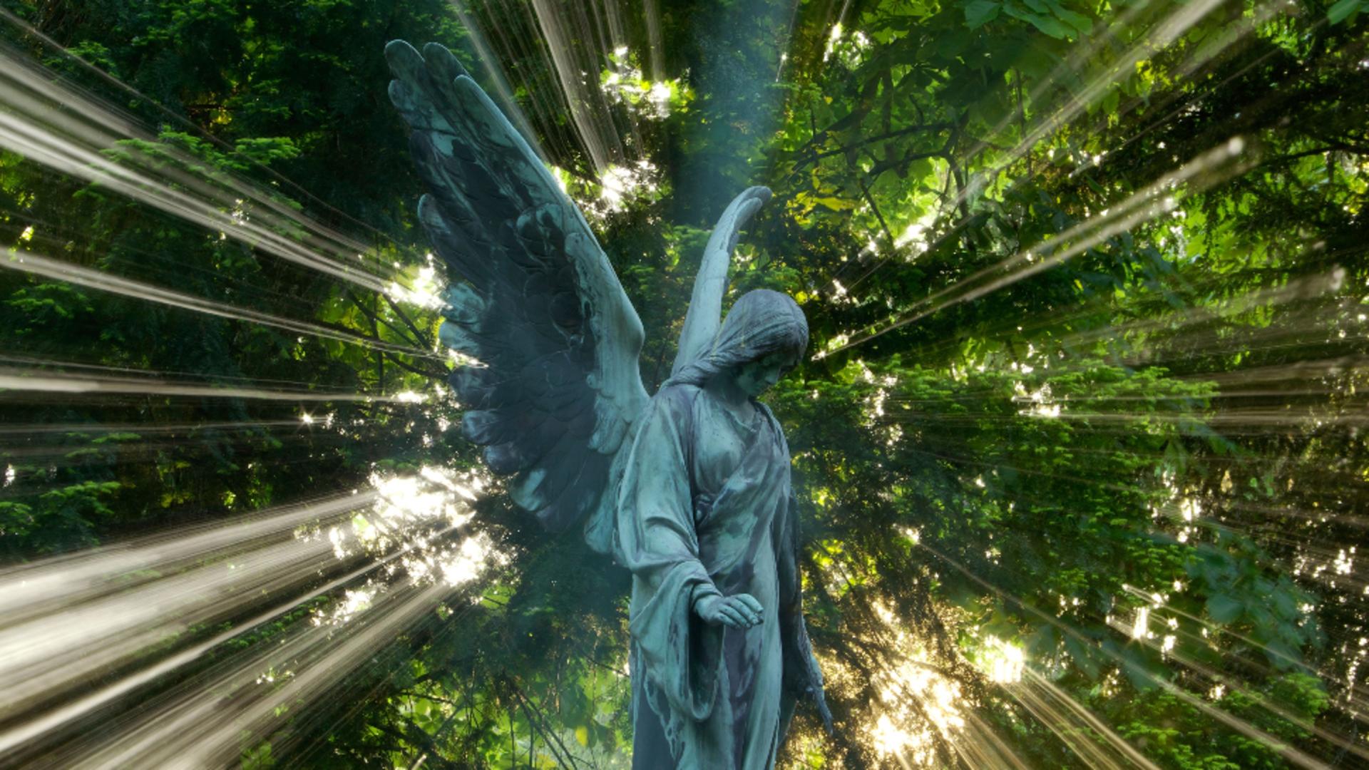 Reușite pe toate planurile pentru această zodie, din 8 septembrie. Va primi ajutorul divin mult-așteptat / Profimedia