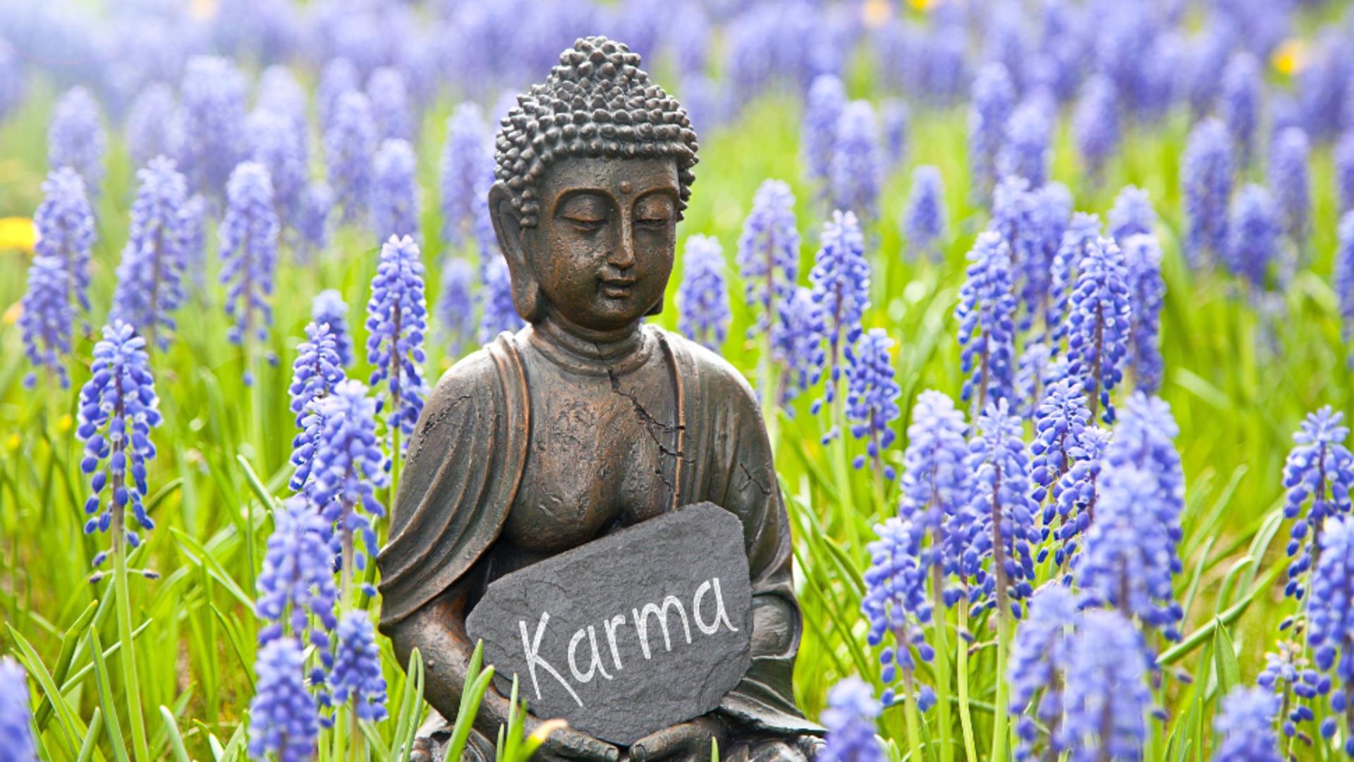 Karma zodiei tale: ce preț vei plăti în viață pentru greșelile făcute/ Profimedia