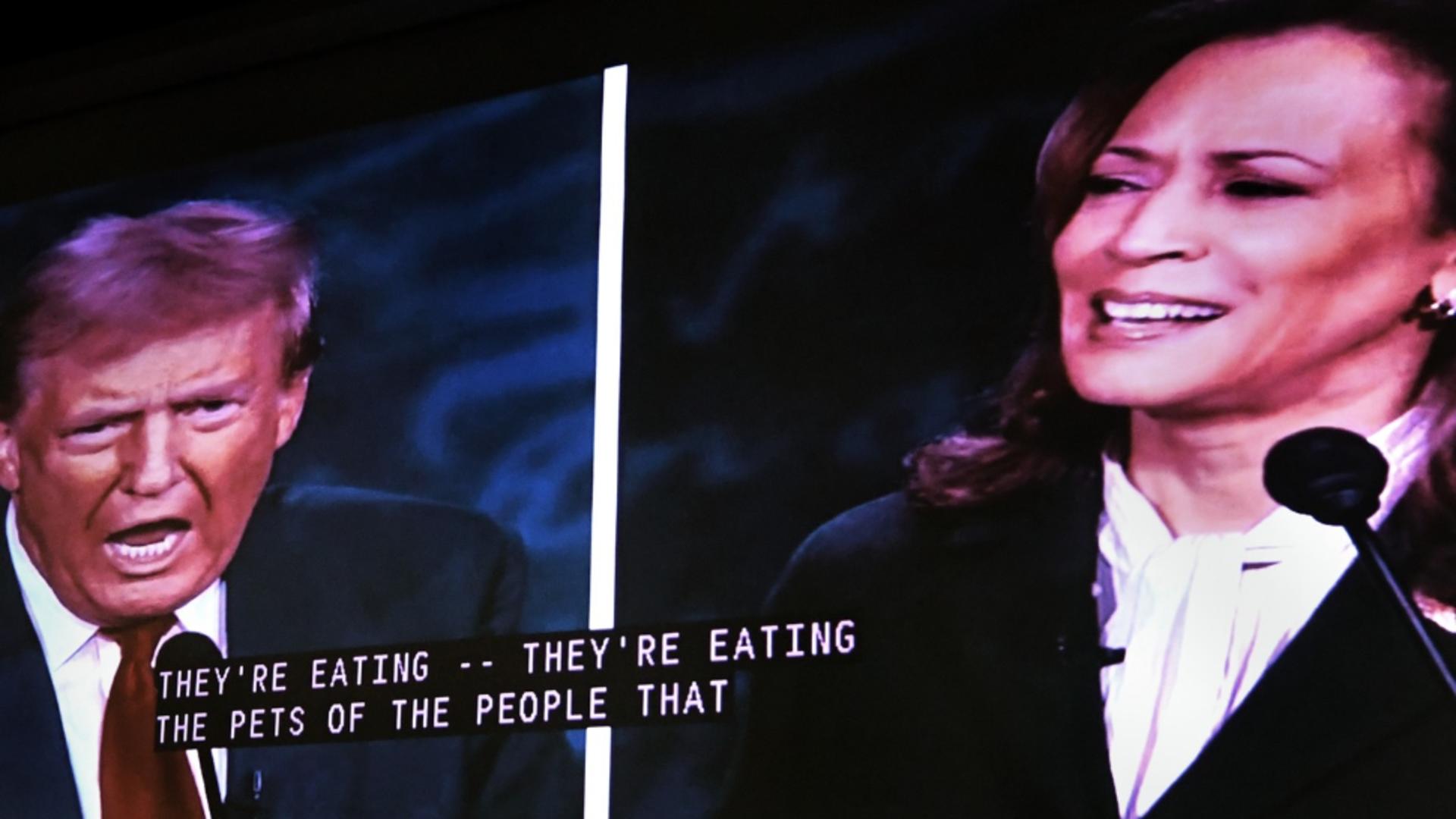 Kamala Harris a fost contracandidata lui DOnald Trump la alegerile din 2024