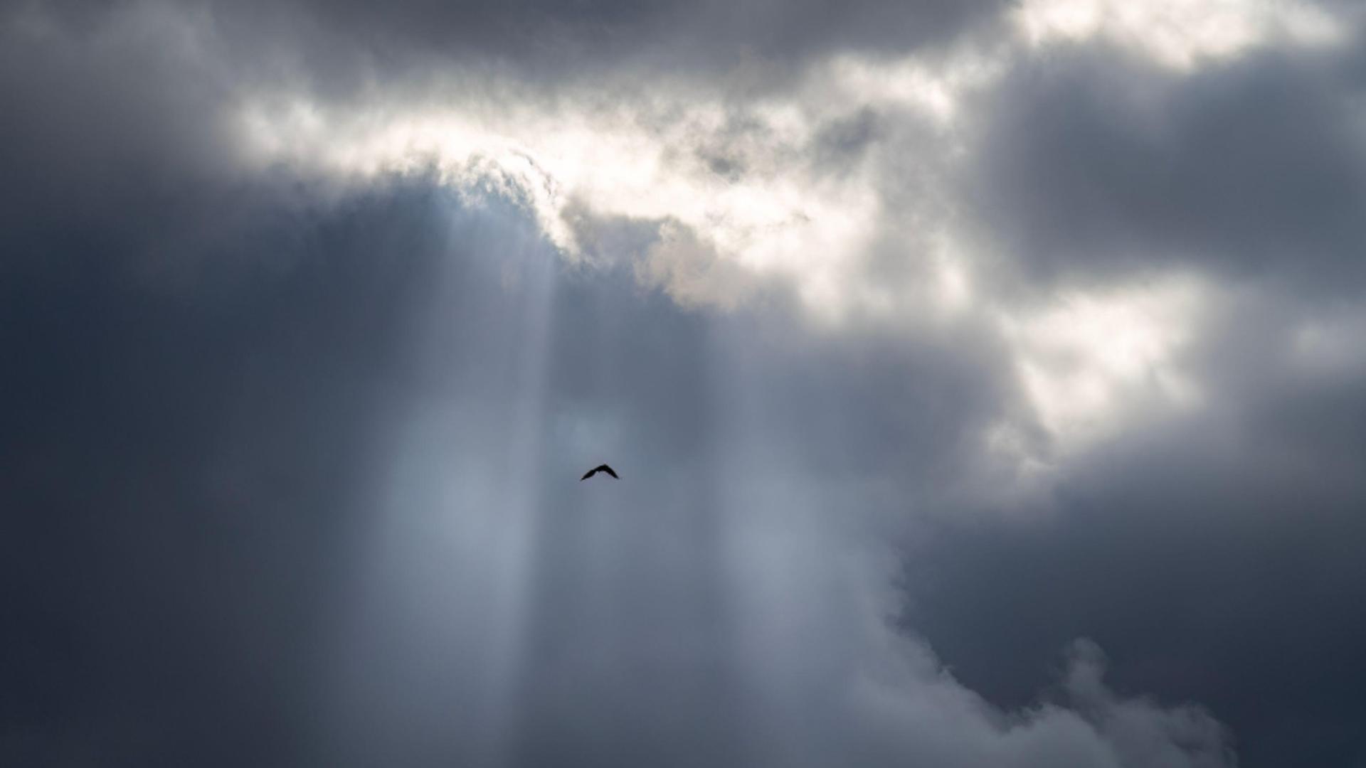 De la caniculă la răcoare: schimbare bruscă de temperatură de la finalul acestei săptămâni/Profimedia