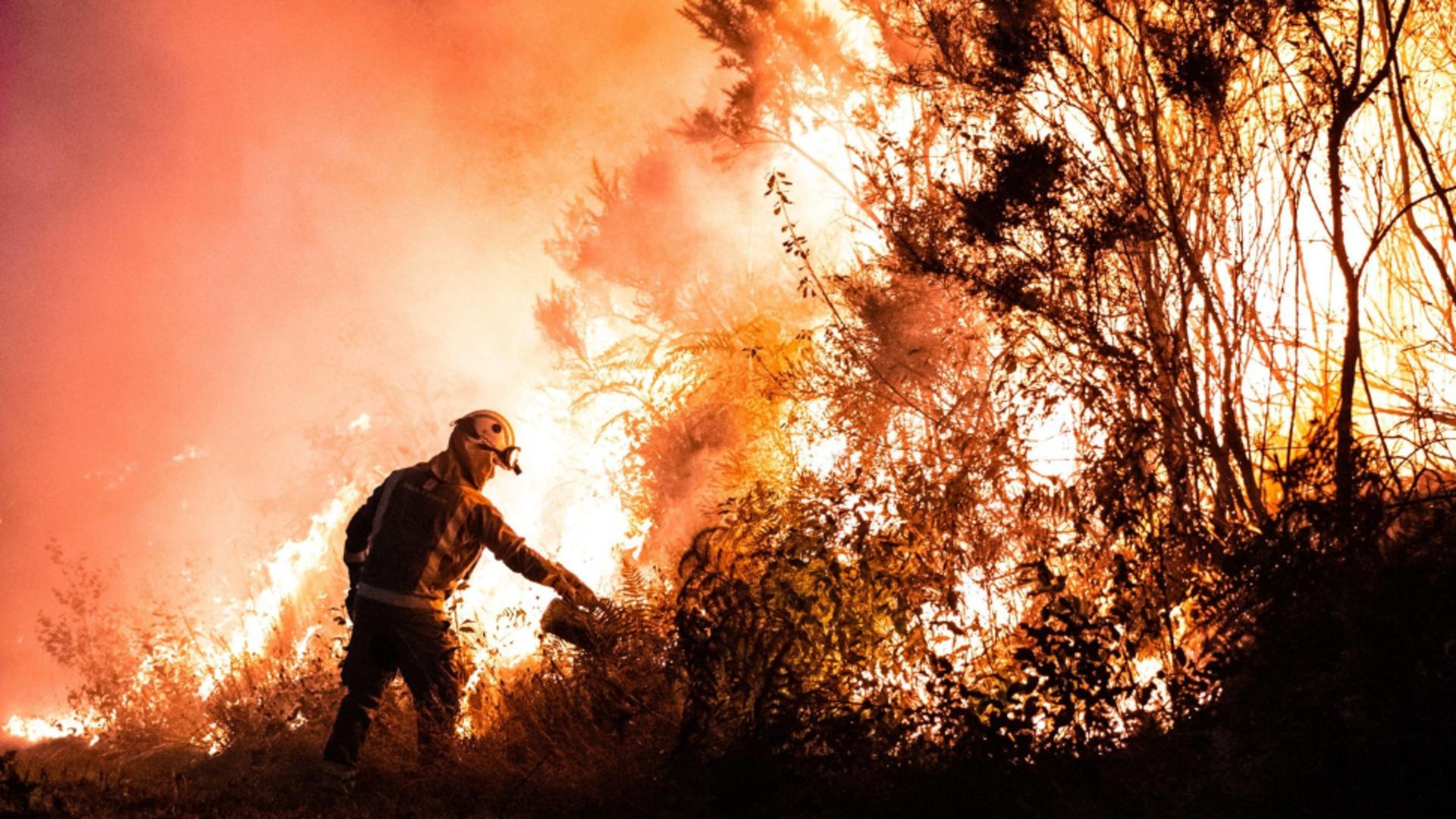 Român mort în incendiile de vegetație violente din apropierea Madridului / Profimedia