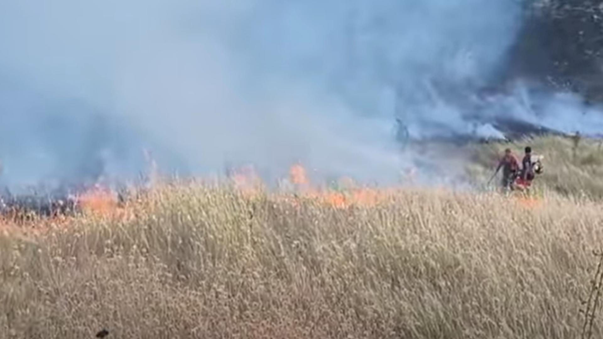Un nou încendiu de amploare. Ard 40 de hectare de vegetație în Buzău VIDEO