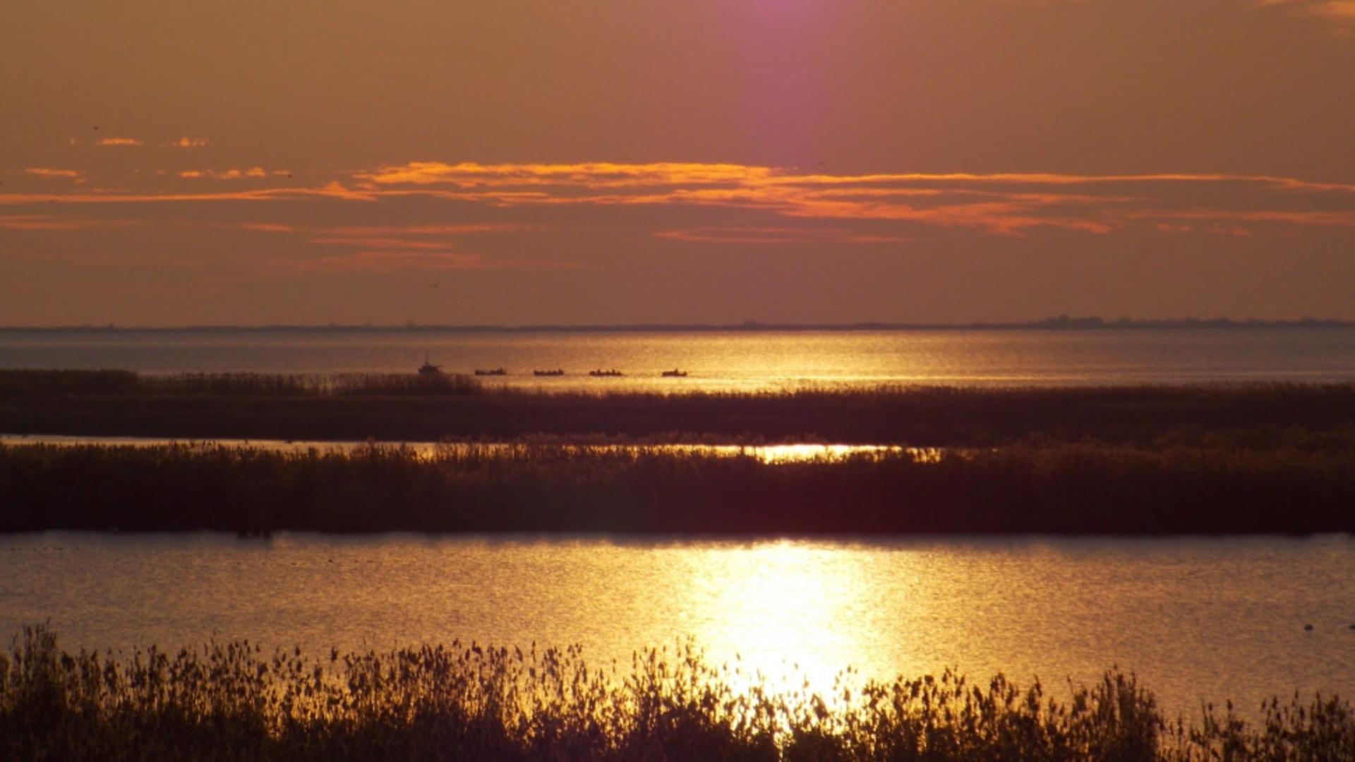 Nivelul apei din complexul Razim-Sinoe, tot mai scăzut. FOTO: Facebook