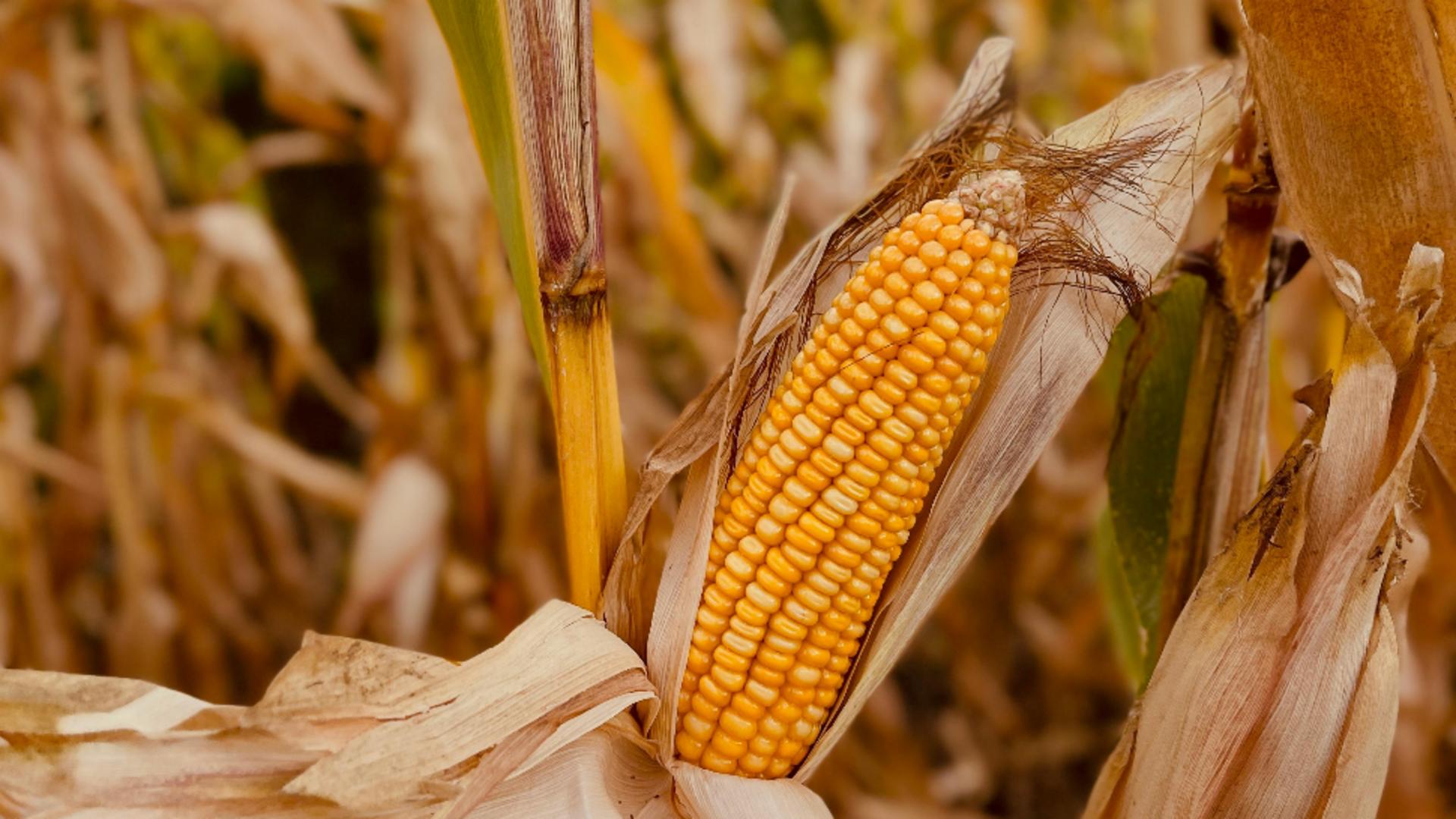 Horoscopul lunii septembrie 2025. O perioadă plină de schimbări majore pentru câteva zodii