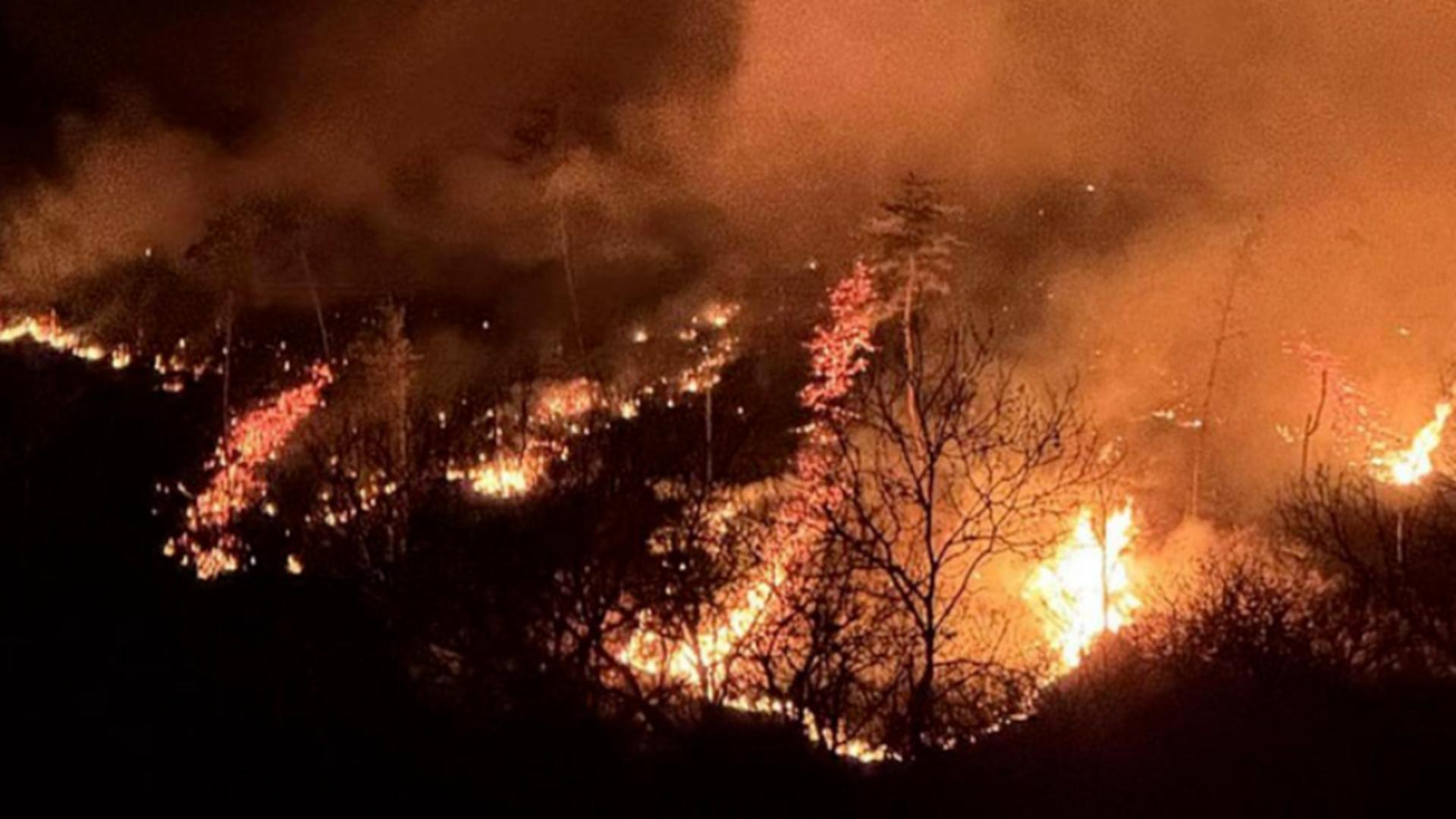 Incendii de proporții în Mehedinți și Giurgiu: peste 100 de hectare afectate, flăcările amenință gospodării și fabrici