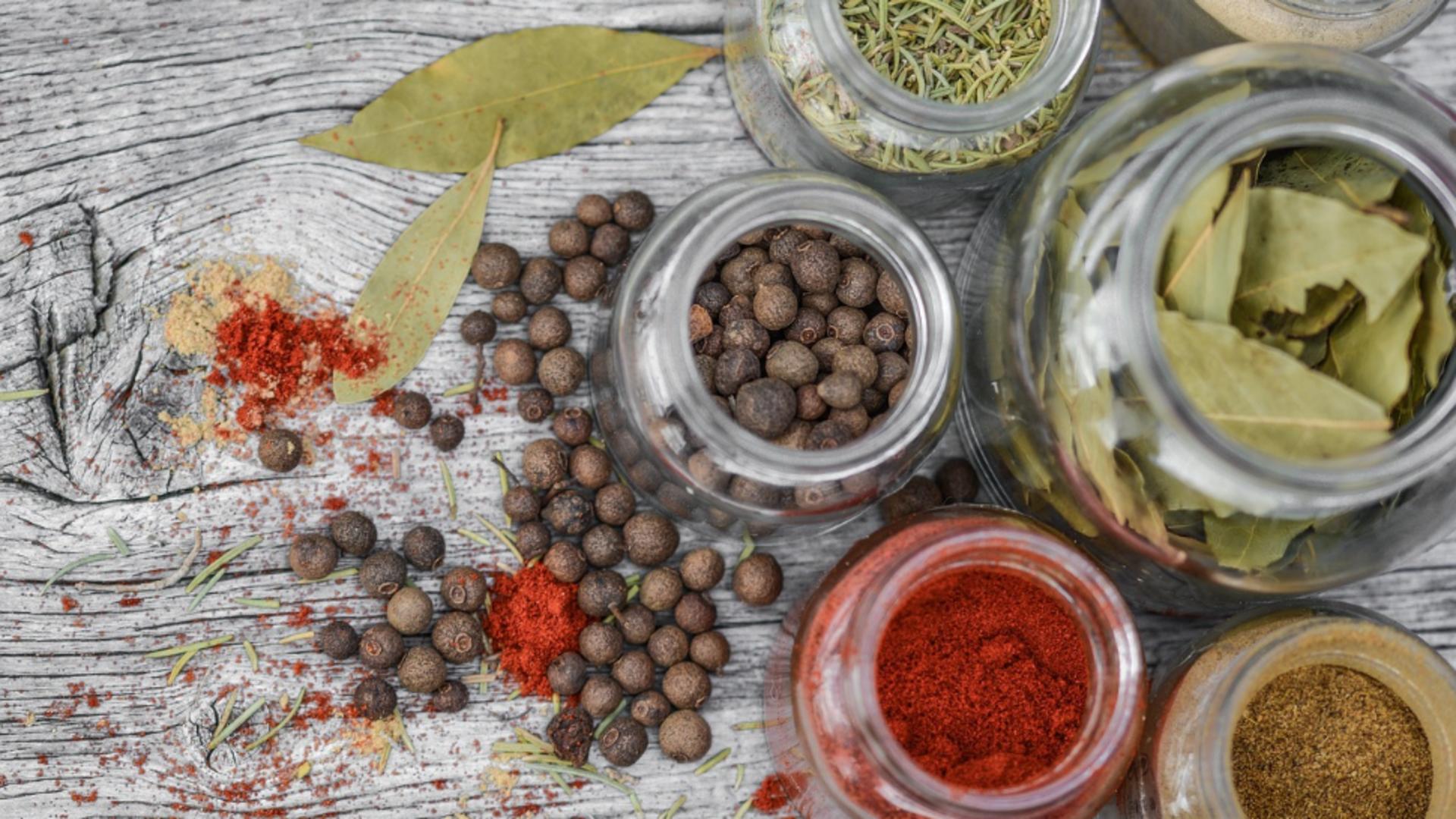 Plante aromatice care îți pot transforma apartamentul: parfum, culoare și prospețime. Ce plante să cultivezi în apartament?