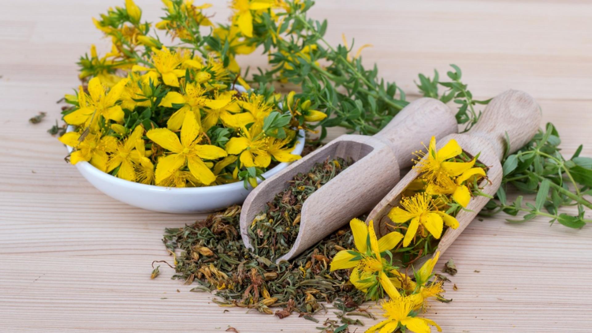 Planta lunii august, calmează sistemul nervos și tratează afecțiunile stomacului. Bunicii o foloseau ca remediu pentru multe afecțiuni