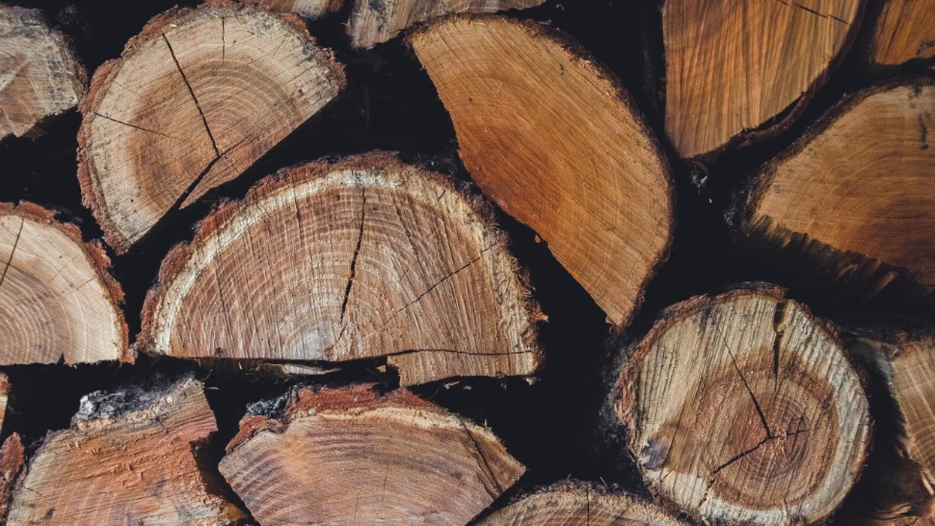 Lemne scumpe foc. Românii plătesc și 600 de lei pe metrul cub