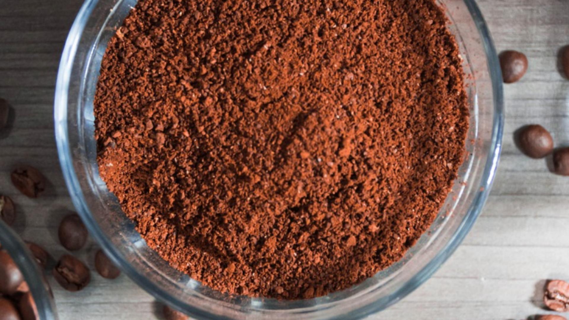 Când poți folosi zațul de cafea în grădină și când este contraindicat