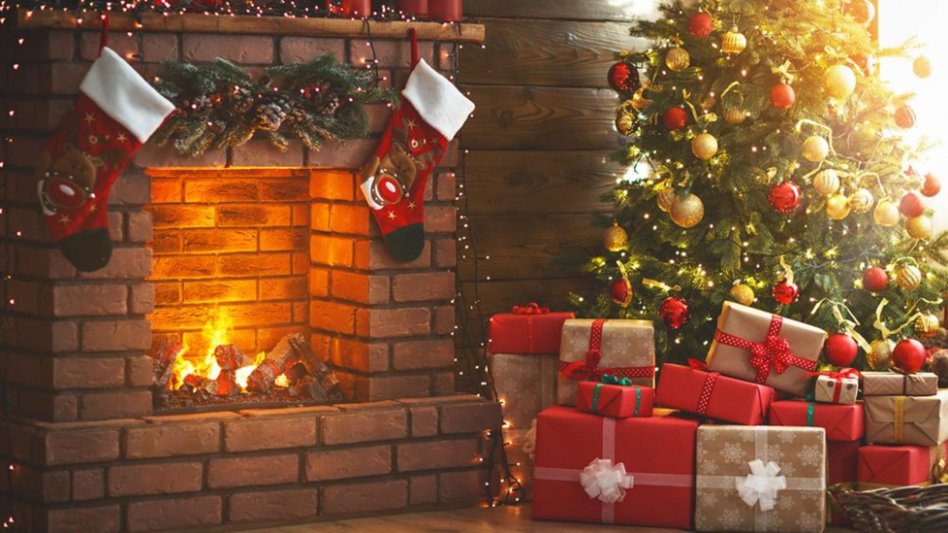 Bradul natural de Crăciun – o alegere sustenabilă pentru sărbători