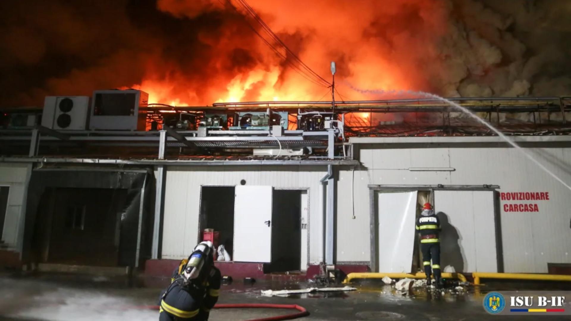 Proprietarul halelor Antrefrig distruse de incendiu riscă să piardă banii din asigurarea de 12 milioane de euro