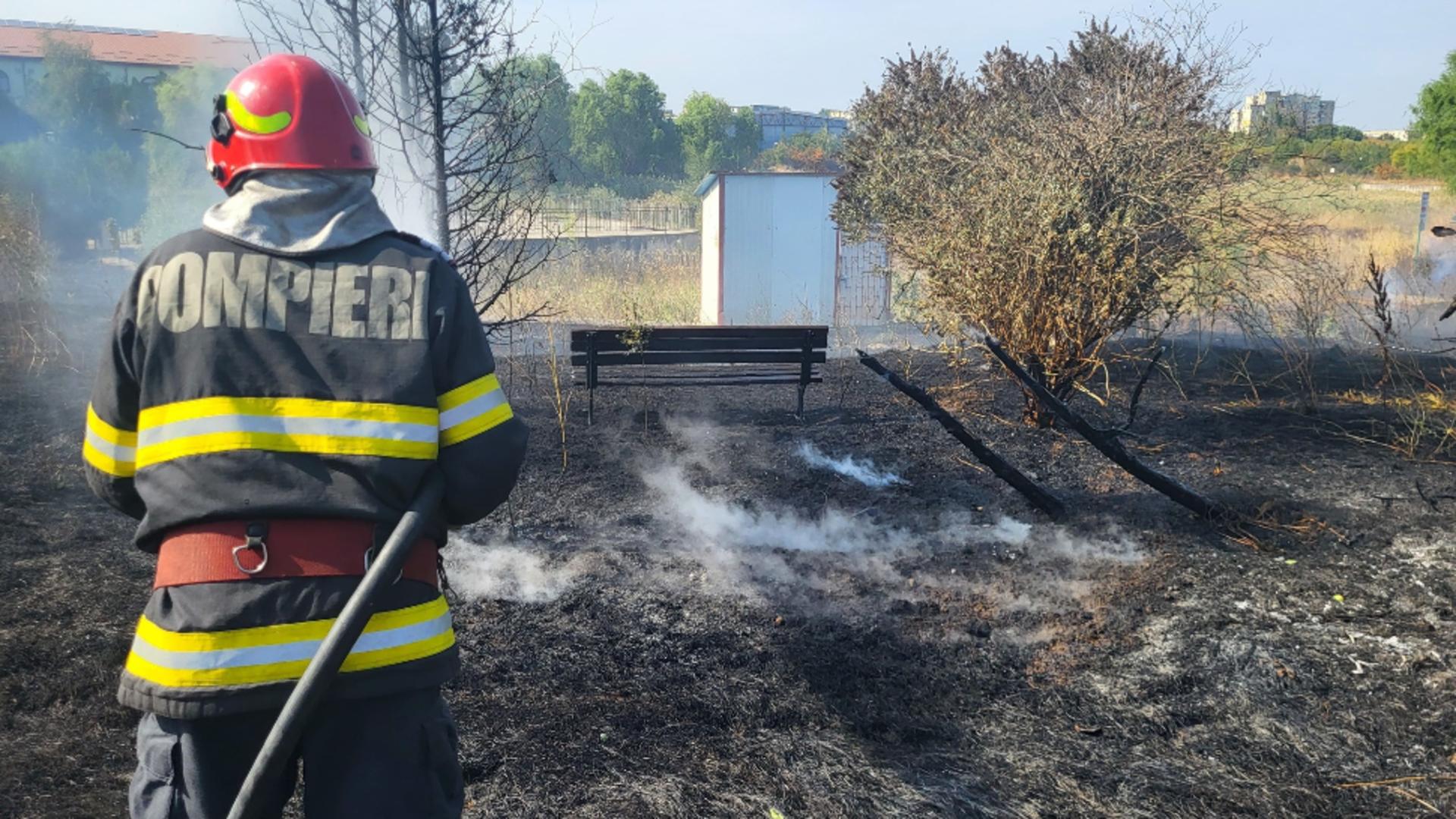 Incendiu de vegetație într-un parc din Giurgiu. Pompierii au intervenit de urgență