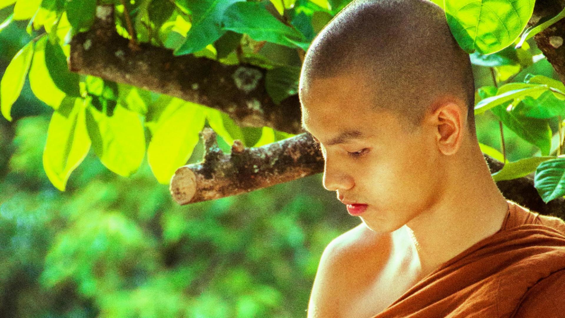 Principii ale călugărilor budiști, care îți pot schimba viața. Rutina zilnică ce îți va îmbunătăți starea de spirit