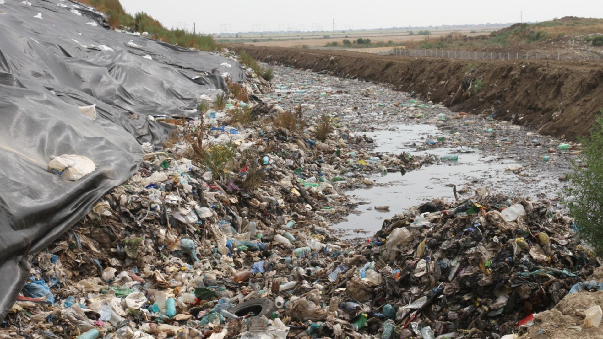 Coșmarul reciclării în Capitală: doar 15% din deșeuri sunt tratate