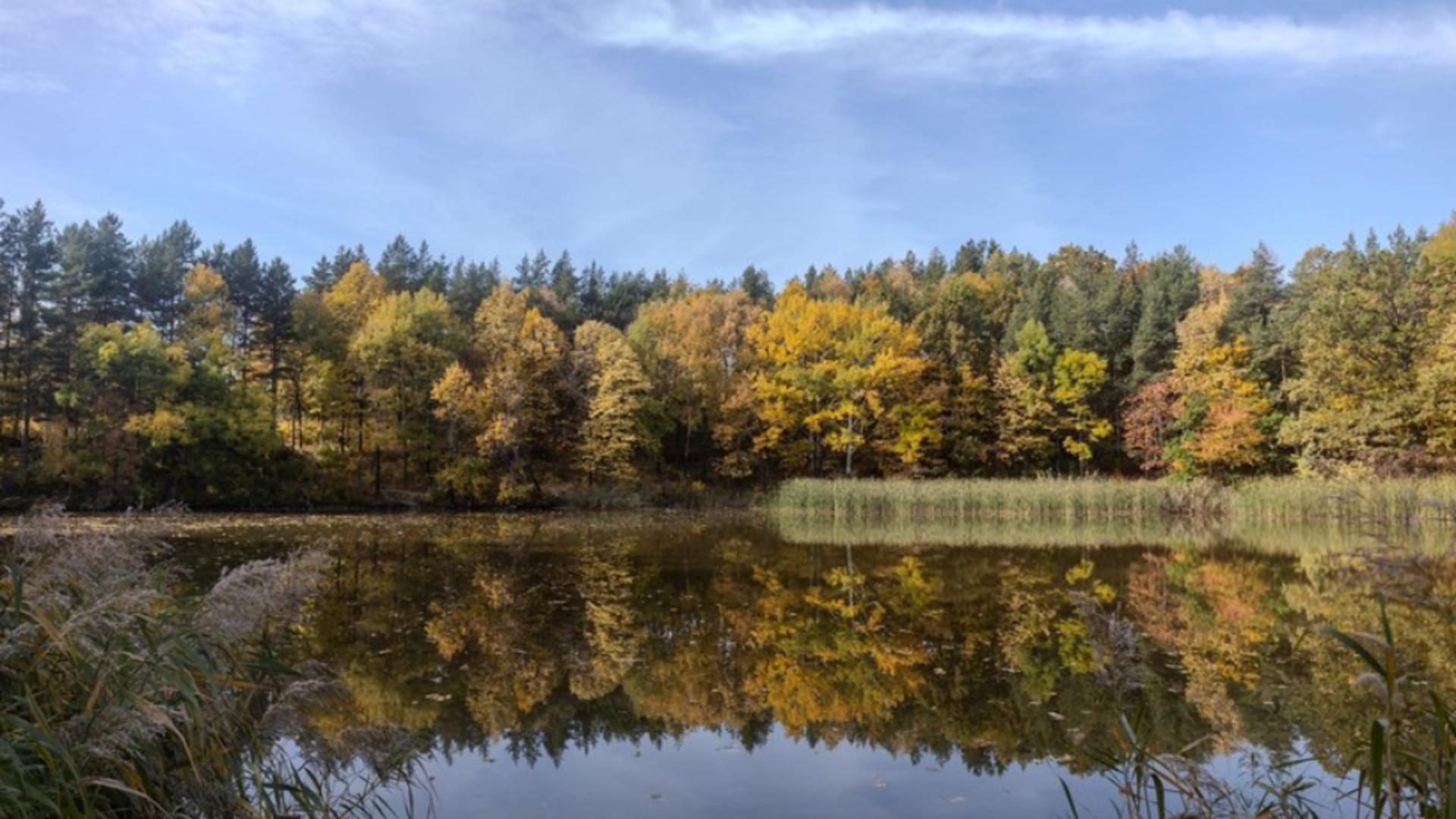 Criză de apă pe Valea Slănicului. Soluția de avarie propusă de Compania de Apă Buzău, blocată de autorități și Geoparcul UNESCO