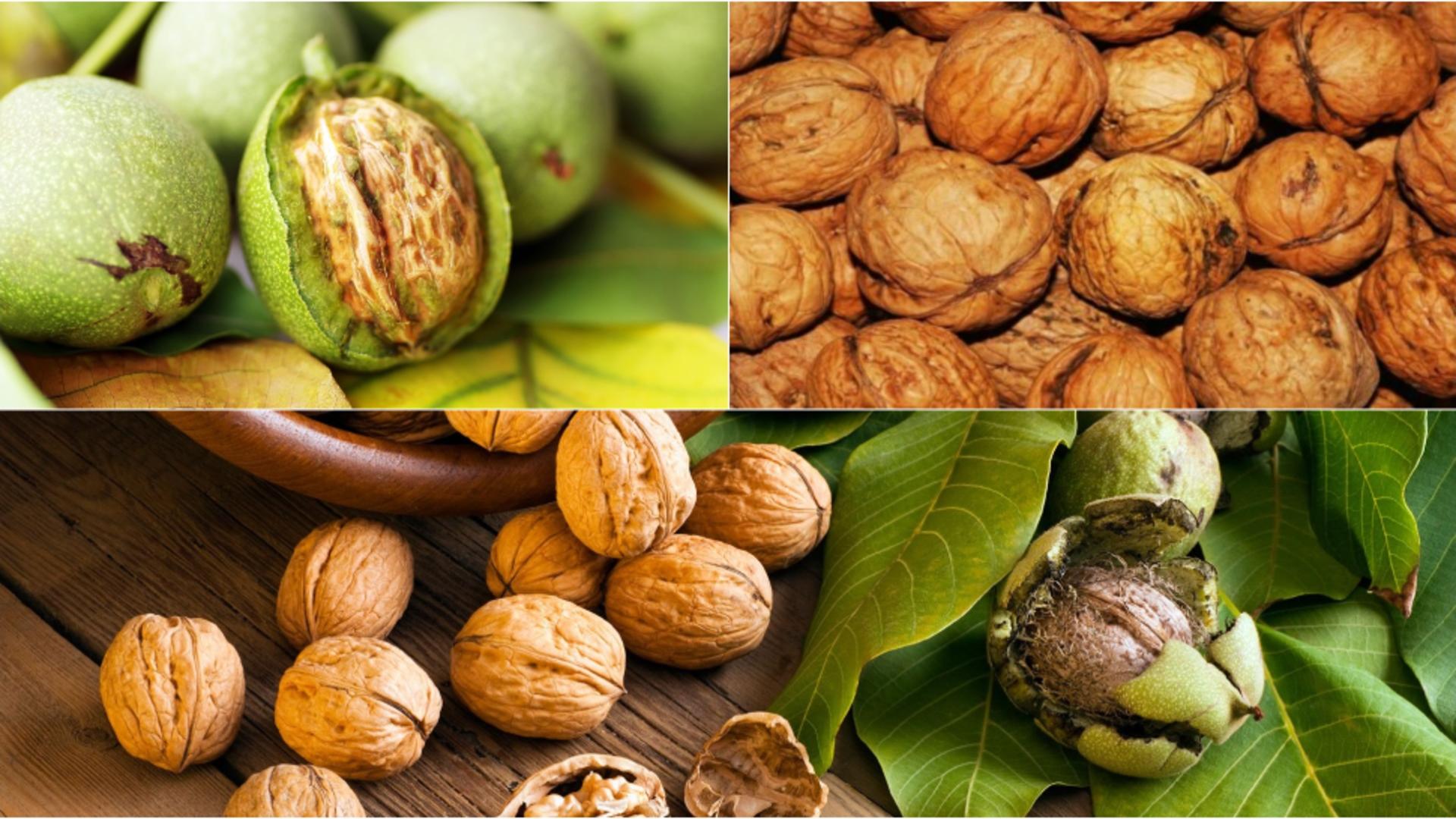 Motivul pentru care nucile sunt considerate „otrava tăcută”