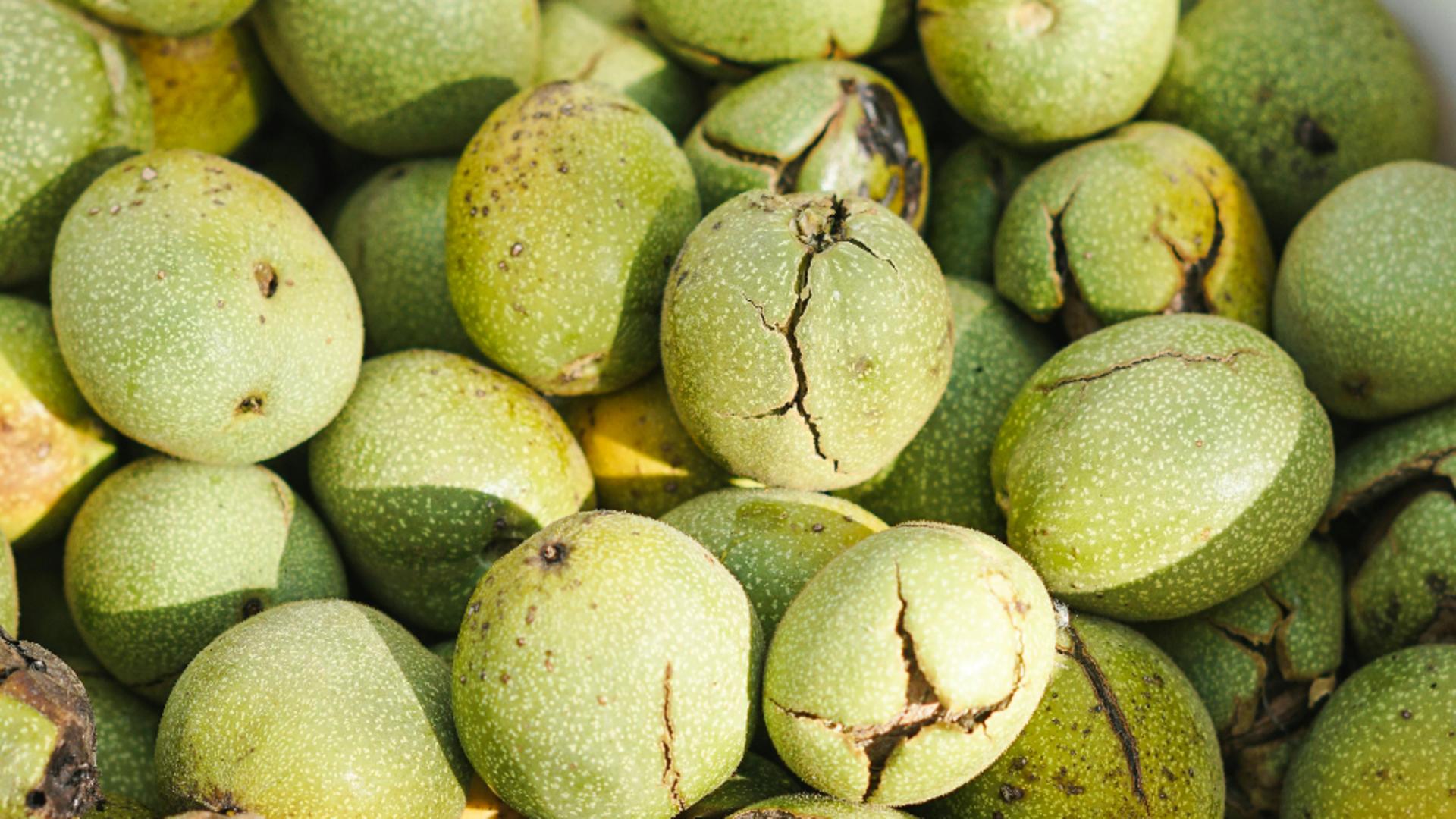 Cum să cureți petele de la nucile verzi de pe mâini și de pe haine! Soluții la îndemâna oricui