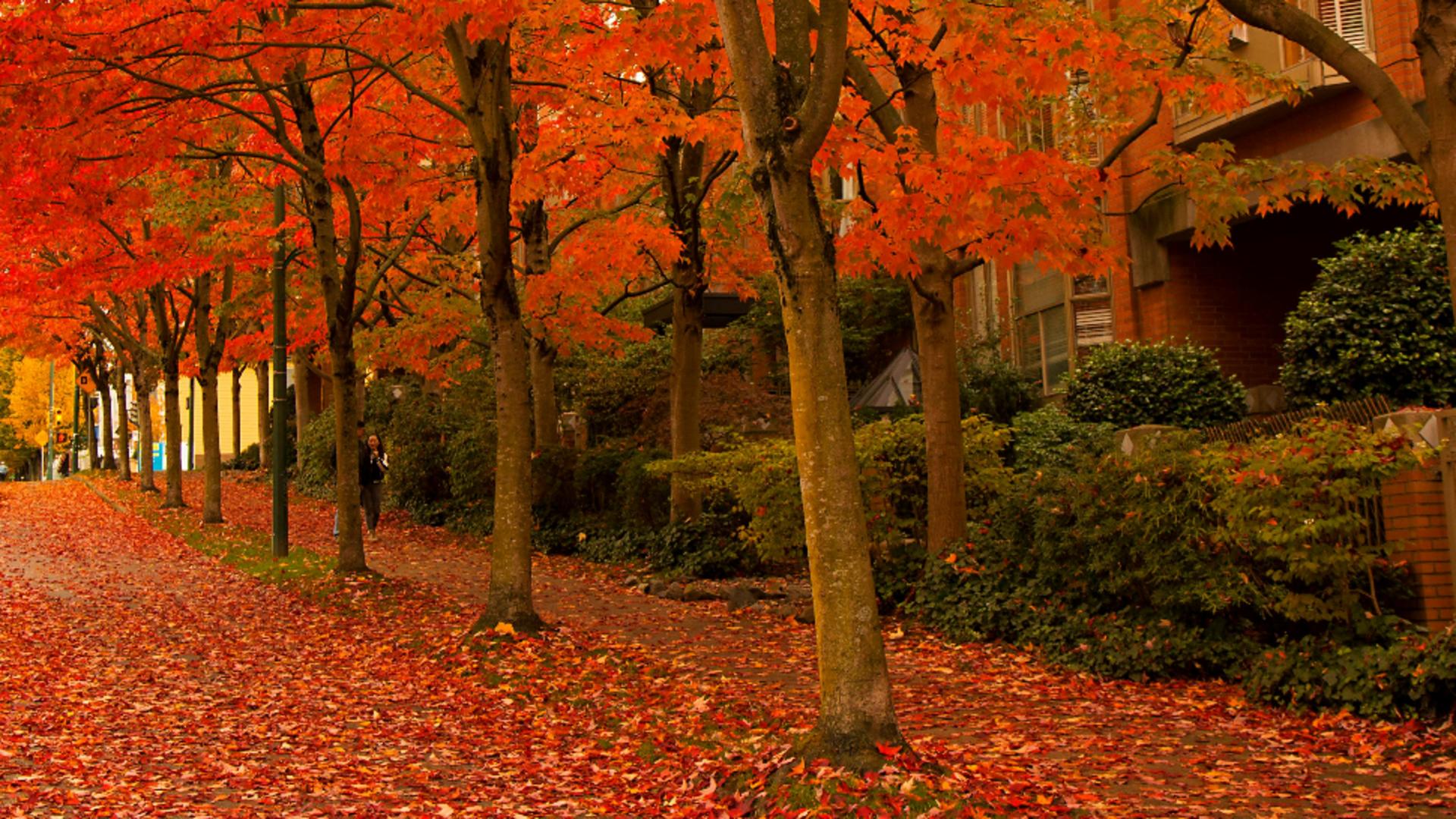 Horoscopul lunii octombrie 2025. O toamnă plină de evenimente pentru câteva zodii