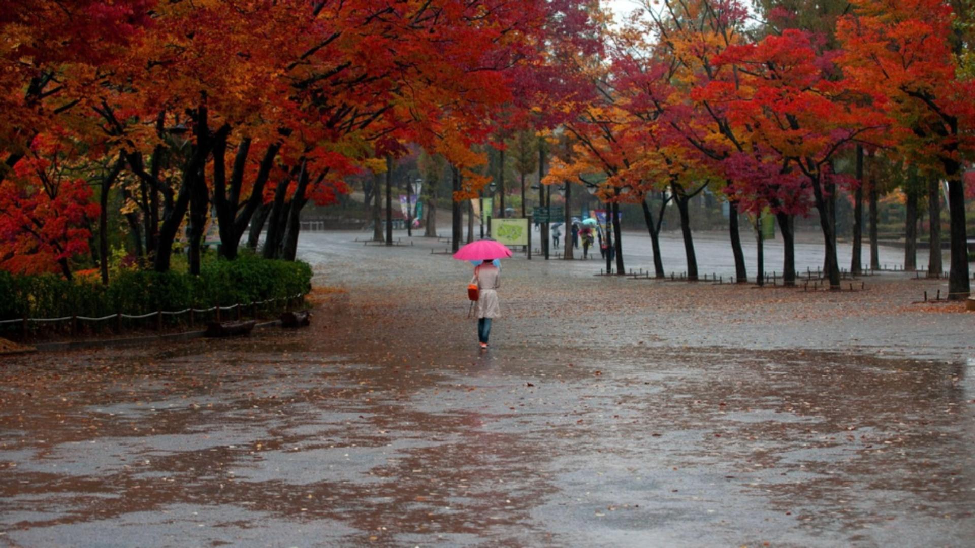 Toamna își intră în drepturi: ANM anunță o lună ploioasă, cu temperaturi în scădere