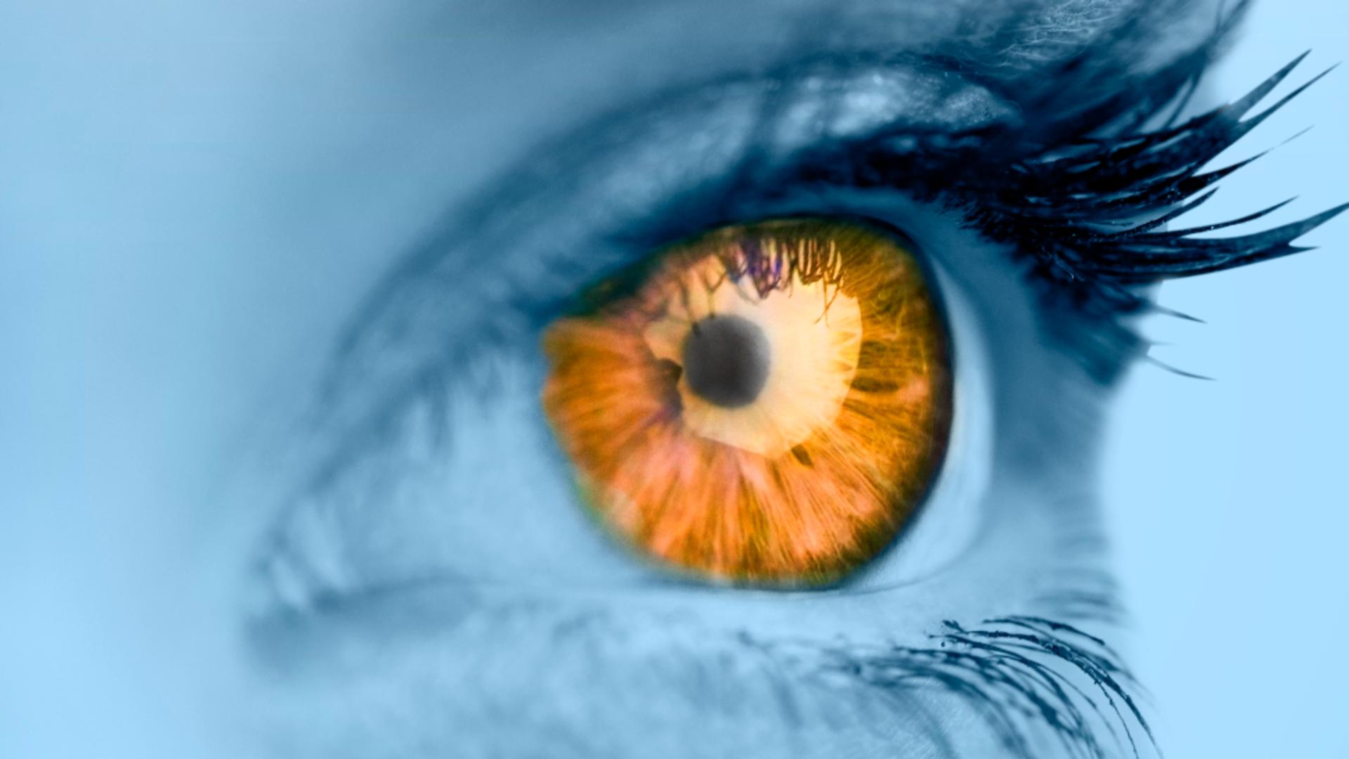 De ce avem ochi diferiți ca nuanță? Cauze medicale și moștenirea genetică/ Profimedia