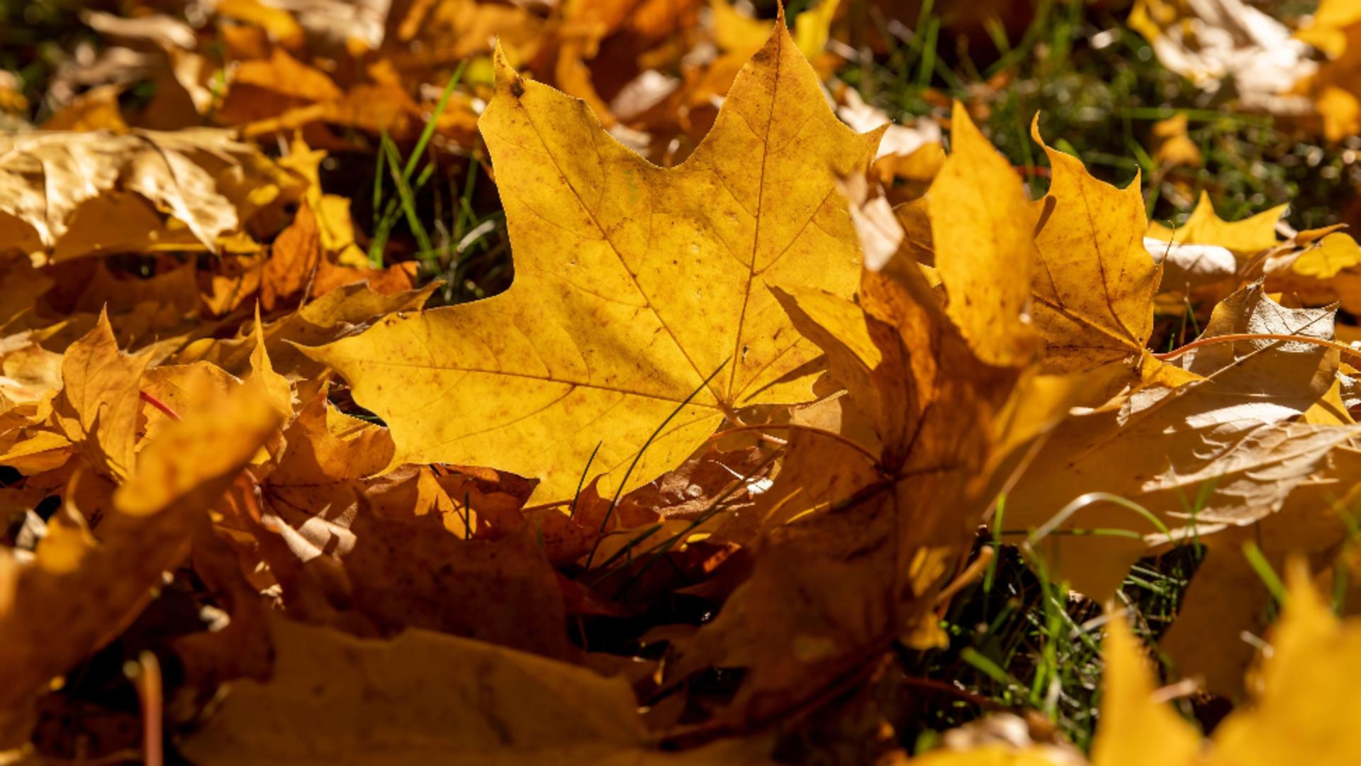 Toamnă atipică, cu temperaturi de vară atât în luna septembrie, cât şi  la început de octombrie. Prognoza ANM pentru următoarele 4 săptămâni