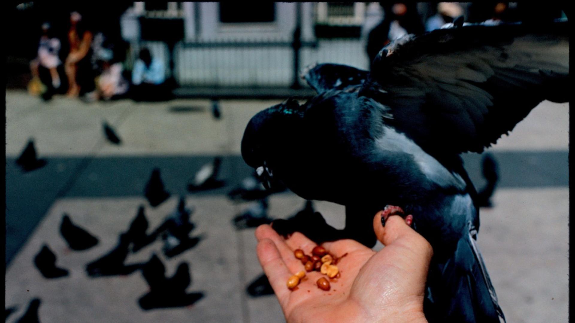 Femeia părea să aibă probleme psihice (foto ilustrativ Profimedia)