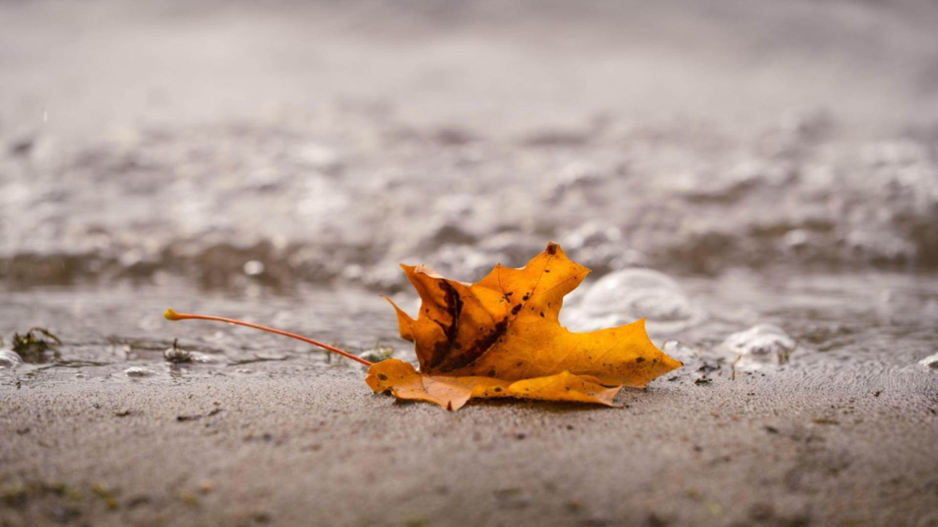 Scad temperaturile în Capitală. Prognoza meteo pentru următoarele zile: maximele nu trec de 19 grade la început de octombrie/ Profimedia