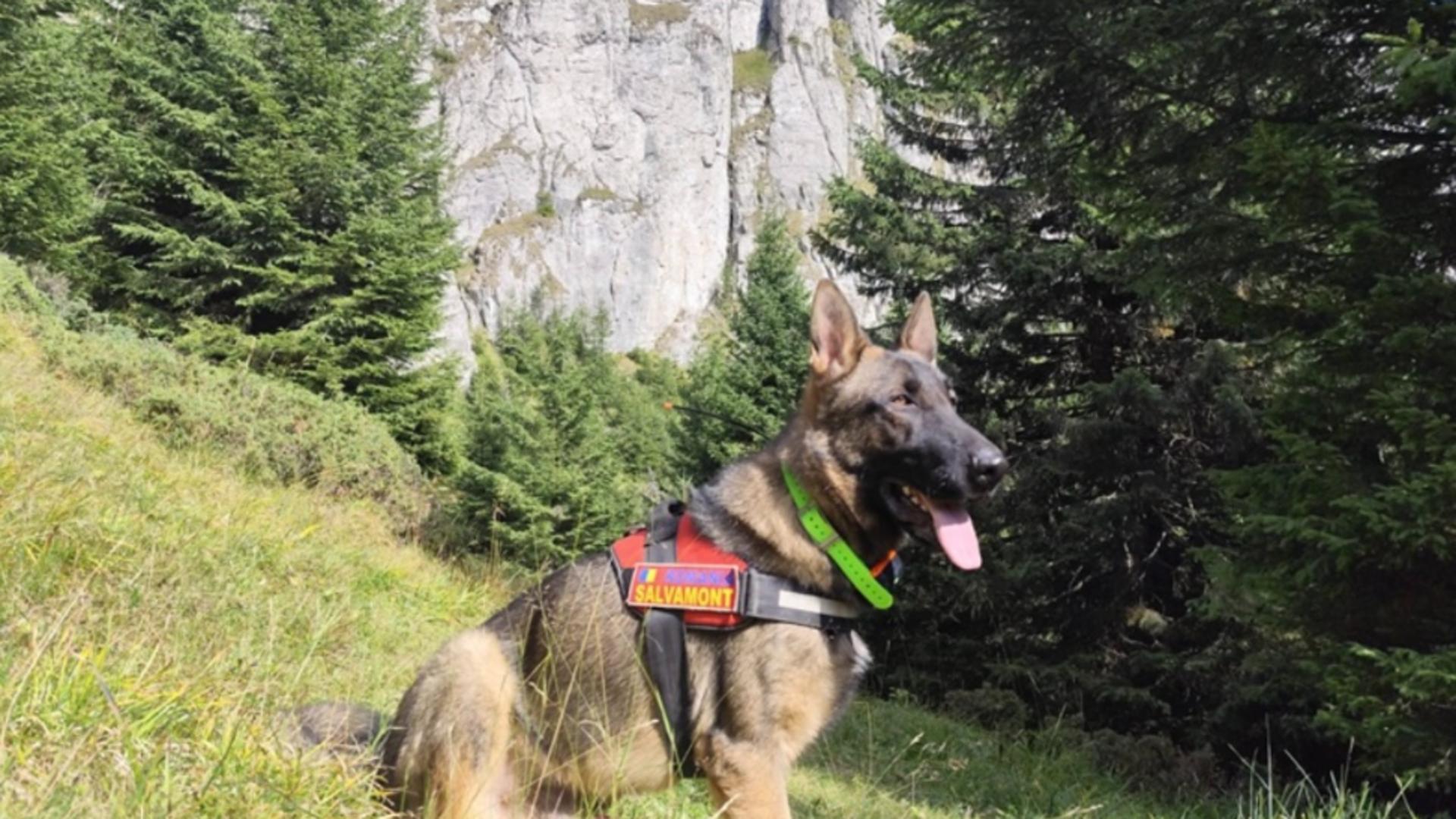 Schelet uman, descoperit în Munții Ceahlău. Anchetatorii cred că rămășițele datează de peste 20 de ani