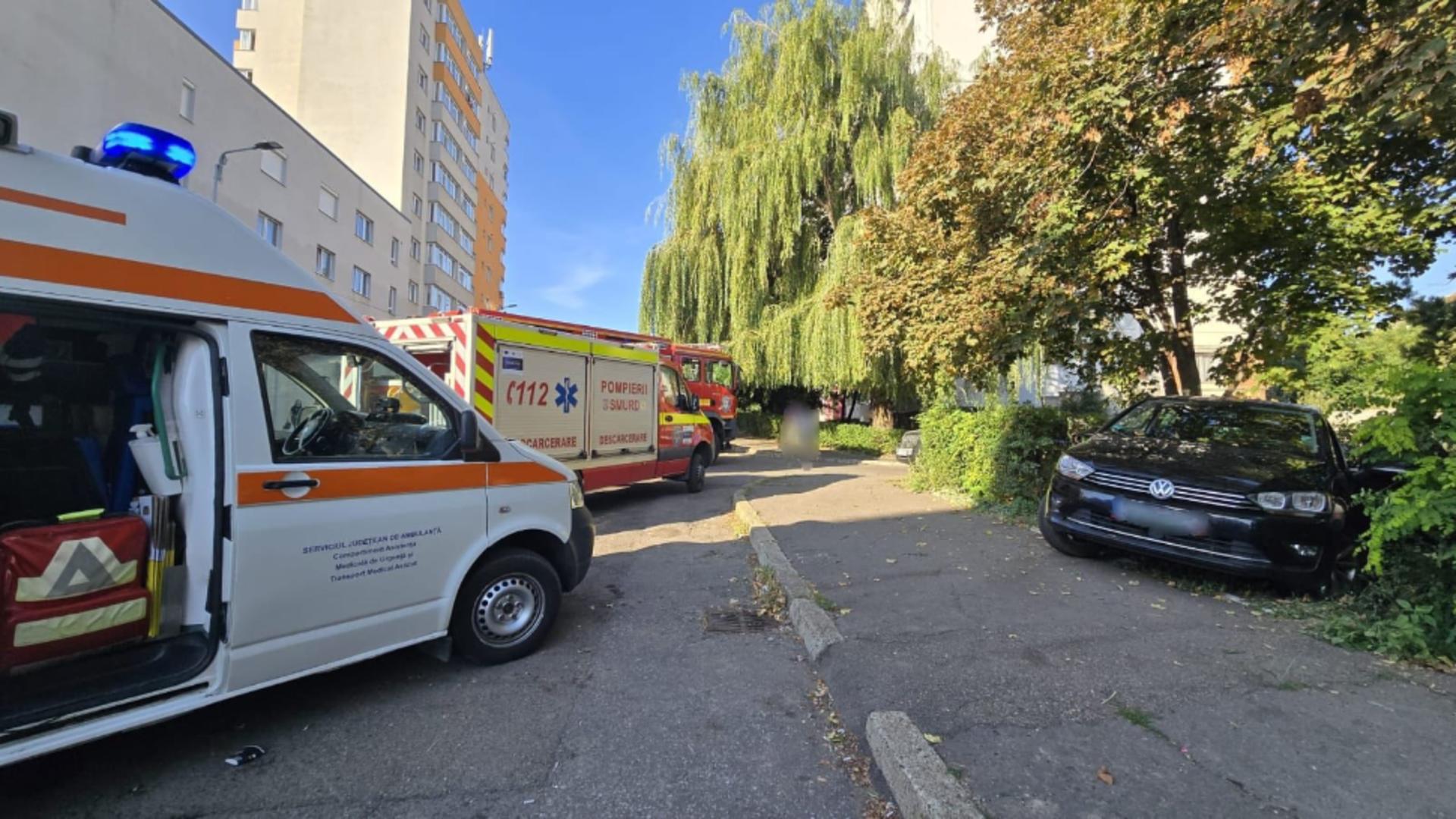 Victimele sunt doi minori, în vârstă de 7 și 10 ani, și o femeie de 35 de ani. Foto/ISU