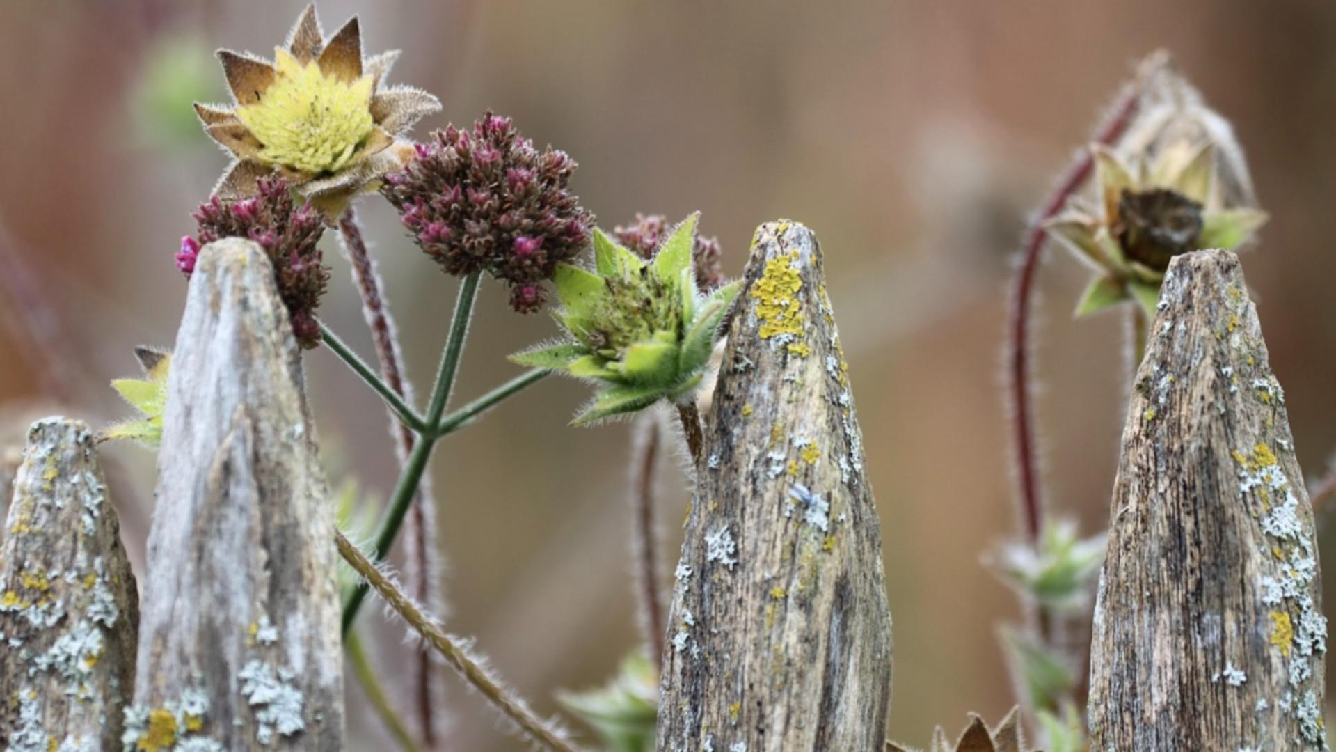 Ploi torențiale și minime spre ZERO grade. Prognoza meteo pe două săptămâni