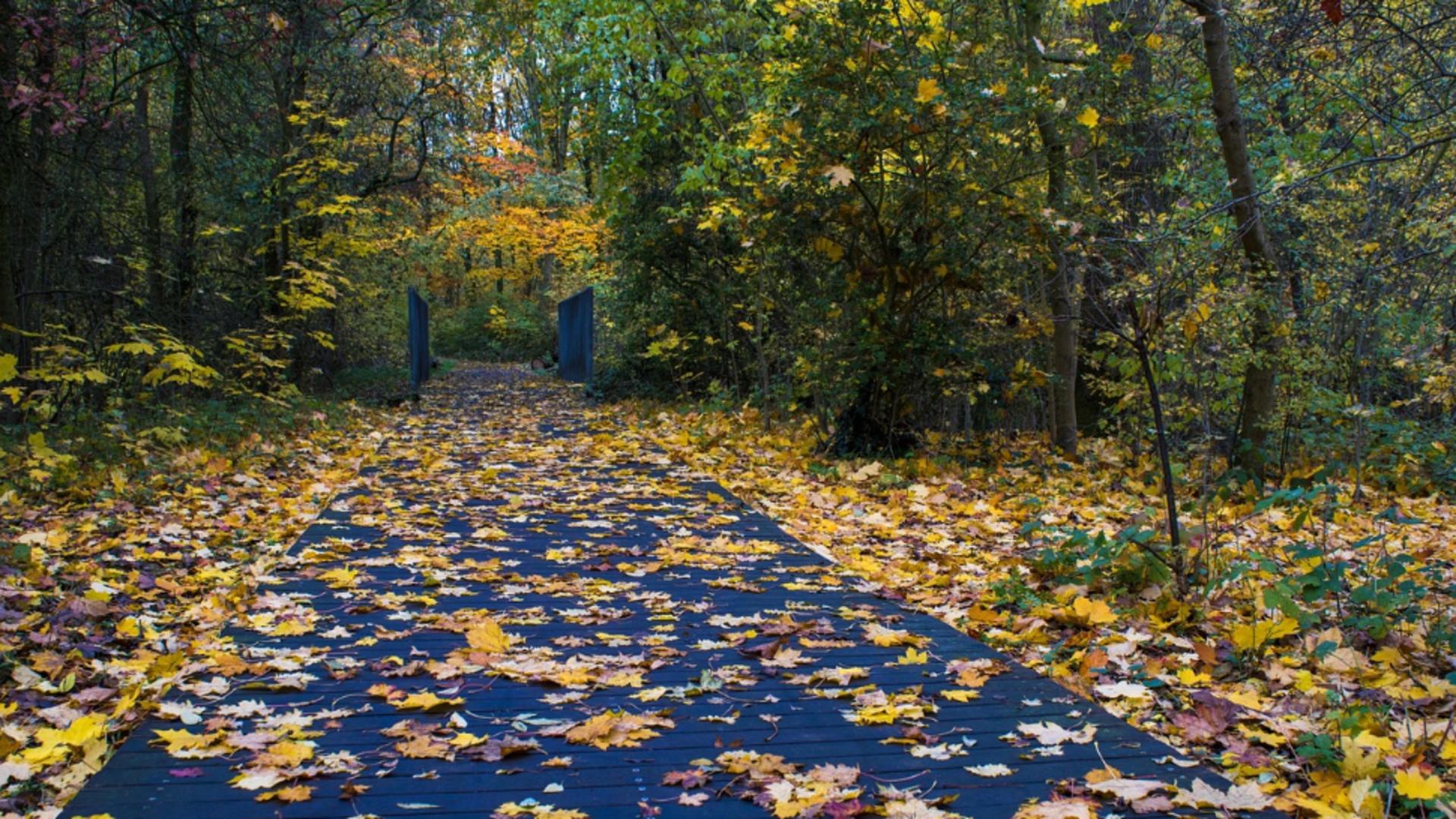 Vremea azi în România. Toamna își intră în drepturi, iar frigul se instalează în toate zonele țării