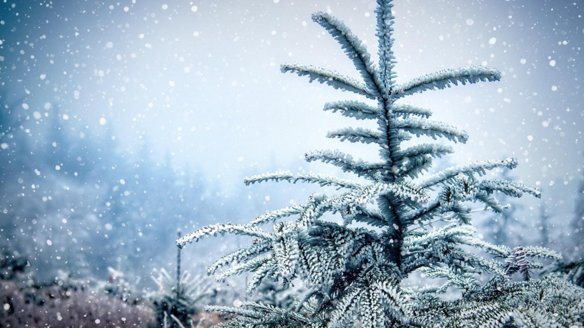 Cum va fi vremea de Crăciun și Revelion. ANM a emis prognoza meteo pe 4 săptămâni
