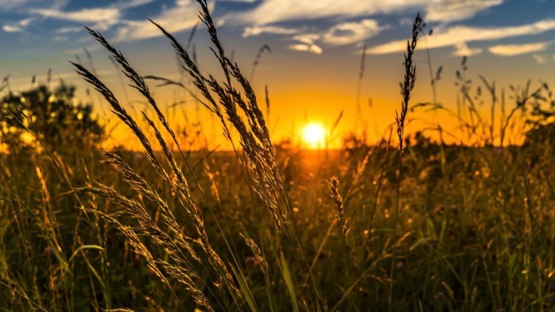 Arșița revine. Cod galben de caniculă: temperaturi deosebit de mari, disconfort termic