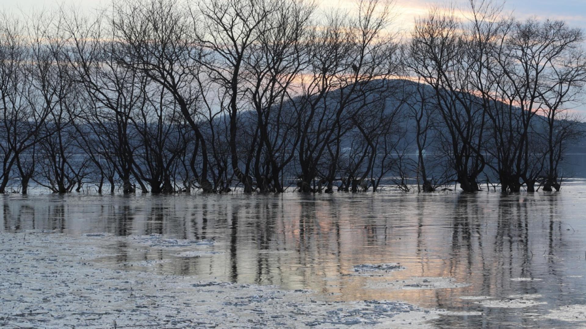 Anomalie meteo în Pacific: iarna 2025–2026 ar putea aduce surprize majore pentru Europa și România. Cât de rece va fi în acest sezon