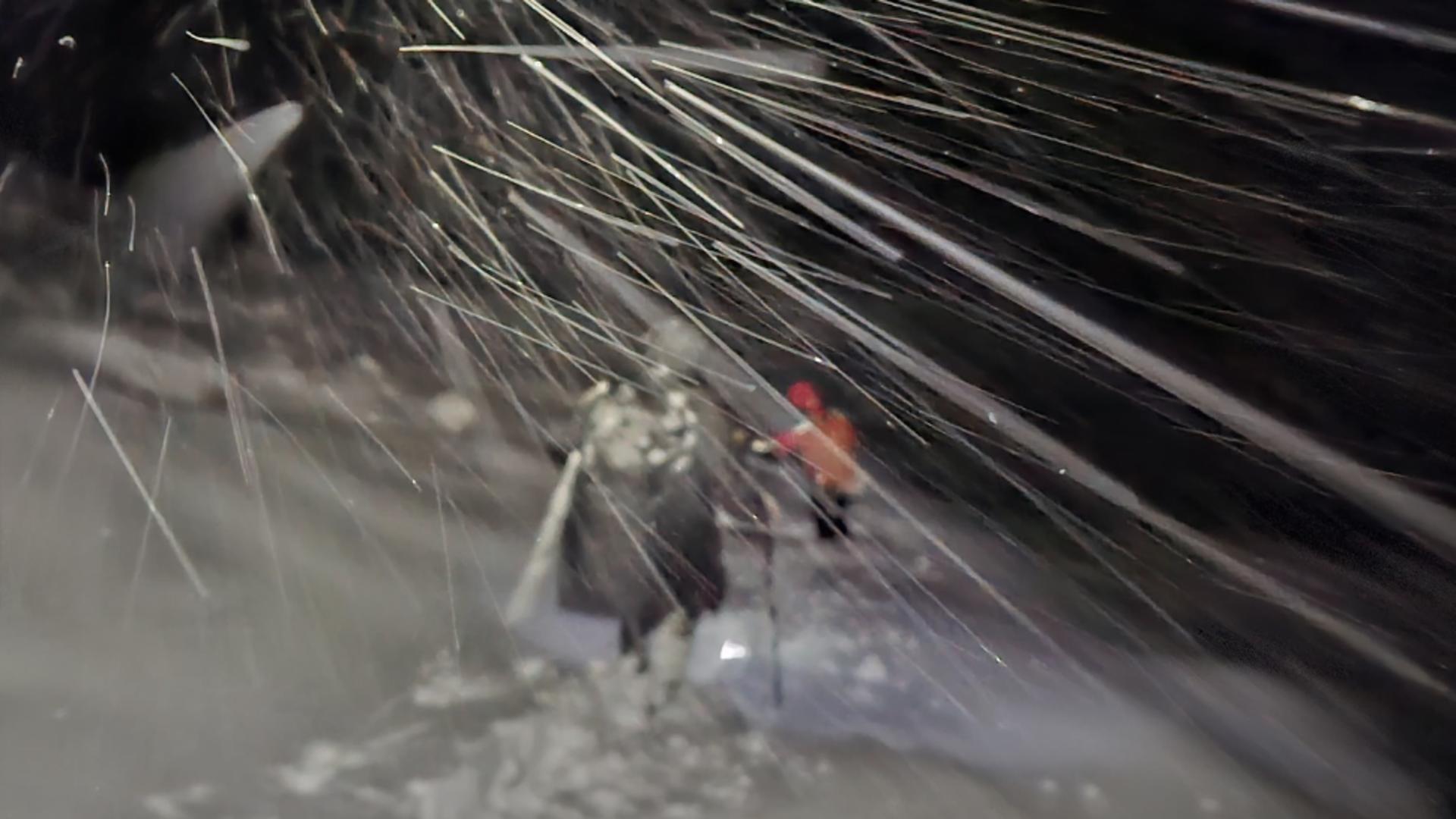 Turist din București, rătăcit pe munte, salvat de salvamontiștii din Sibiu: bărbatul era echipat necorespunzător / Facebook Salvamont