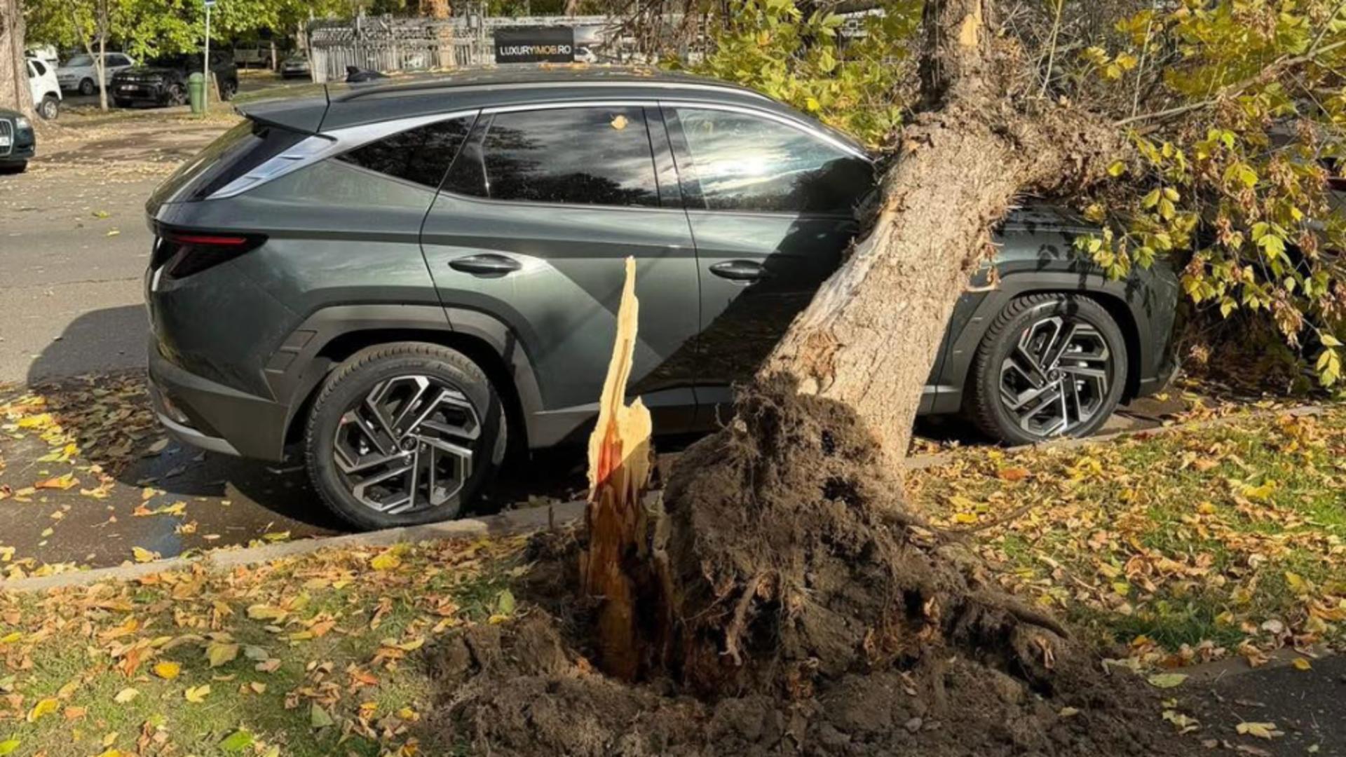 Incident pe Șoseaua Nordului