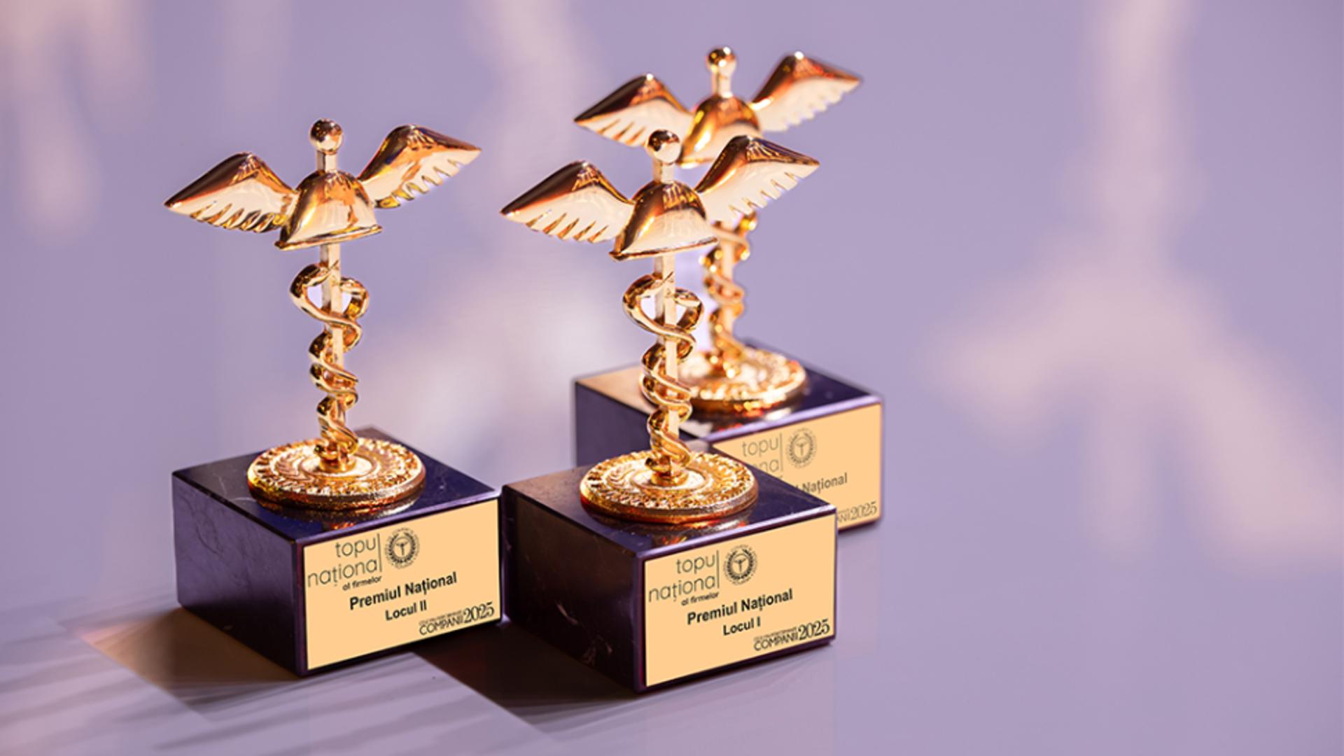 TNF 2025: Cifra de afaceri a celor mai performante companii din România depășește 287 miliarde euro