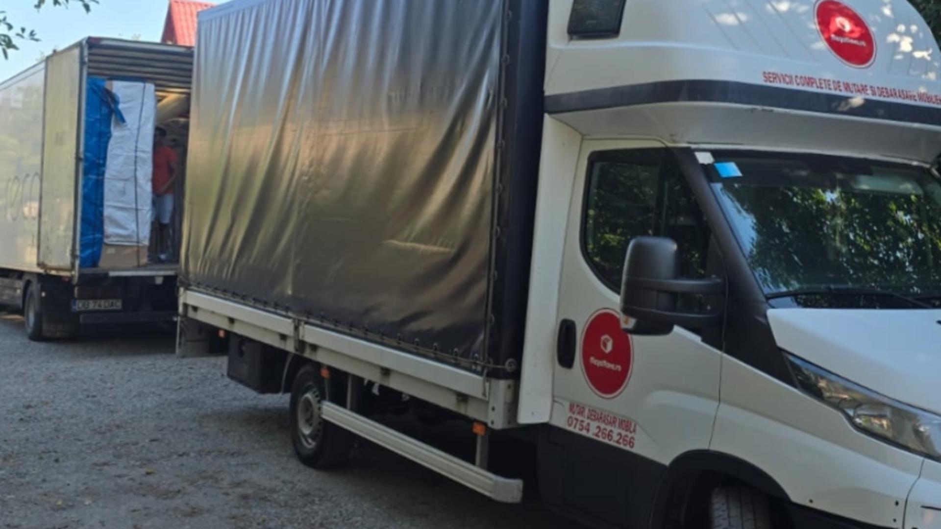 Armonie în mișcare: cum să-ți reamenajezi casa după mutare (P)