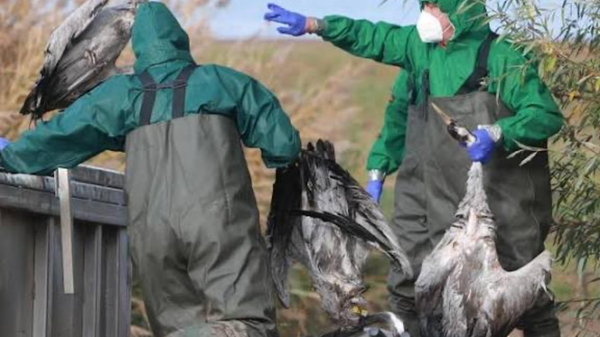 Echipele încearcă să recupereze trupurile, pentru a limita riscul de contaminare