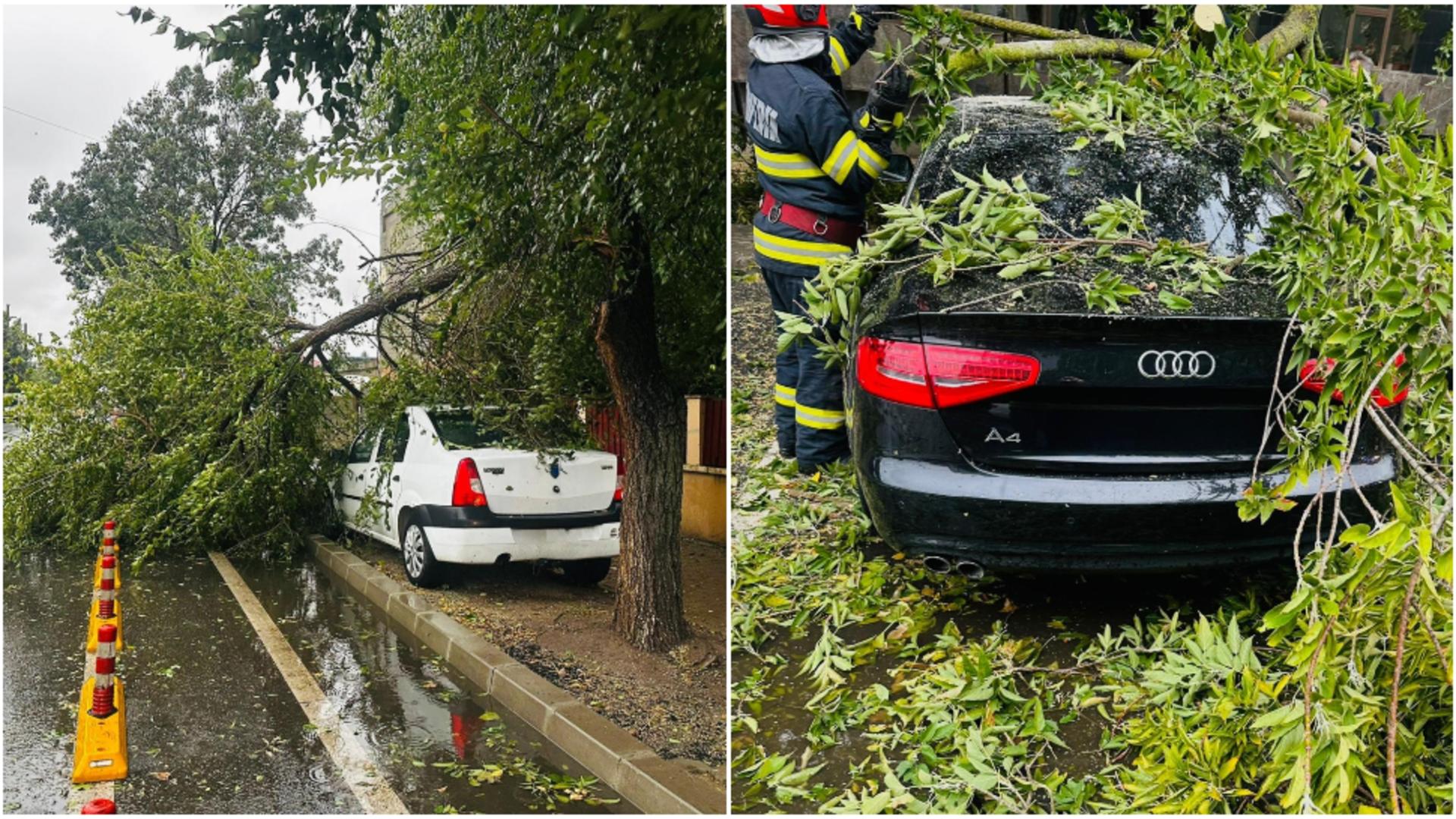 Furtuna a făcut ravagii în București. Foto/ISUBIF