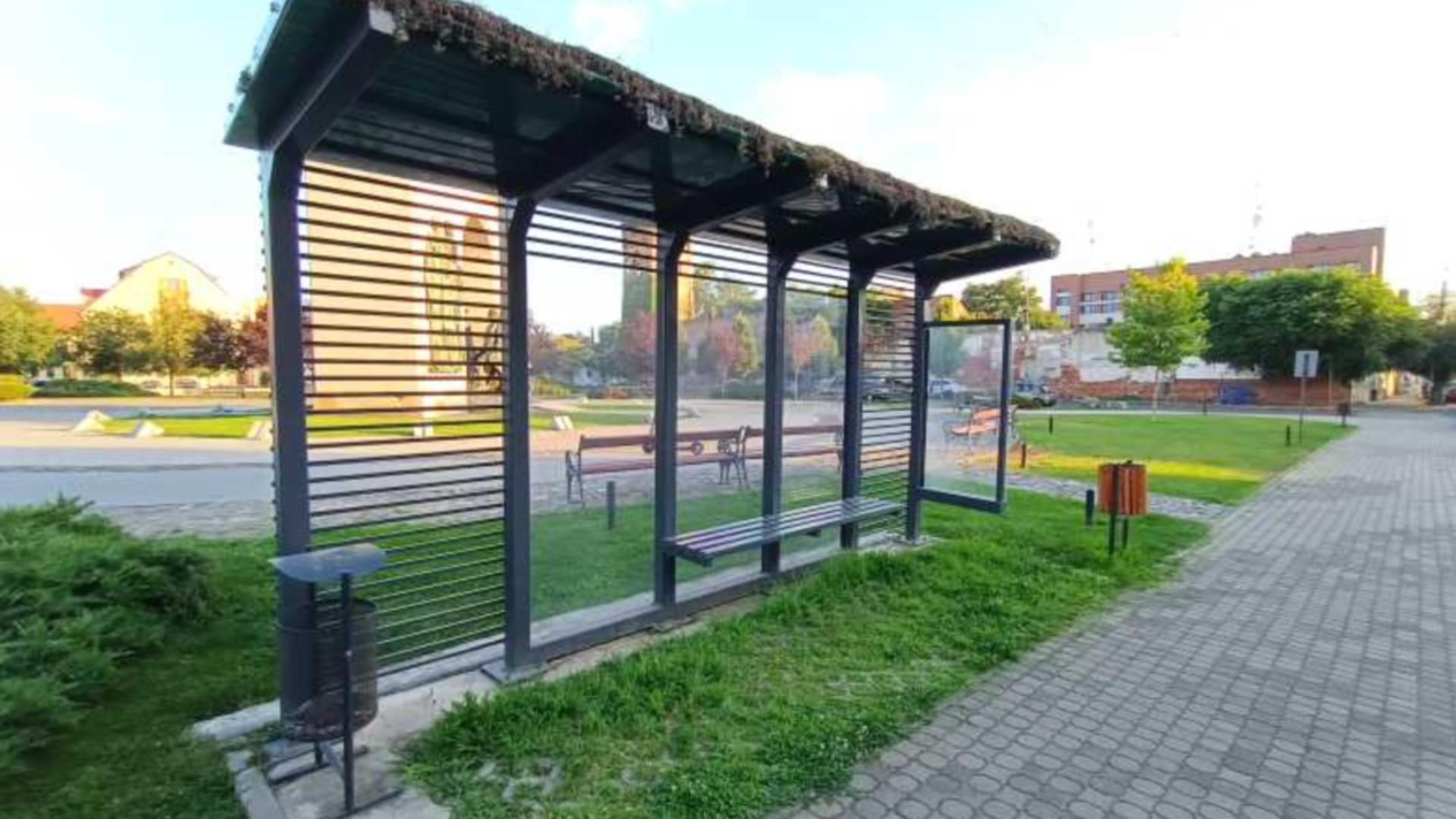 Primul acoperiș verde instalat pe o stație de autobuz ar fi fost otrăvit. Proiect pilot din Arad, distrus de o mână criminală