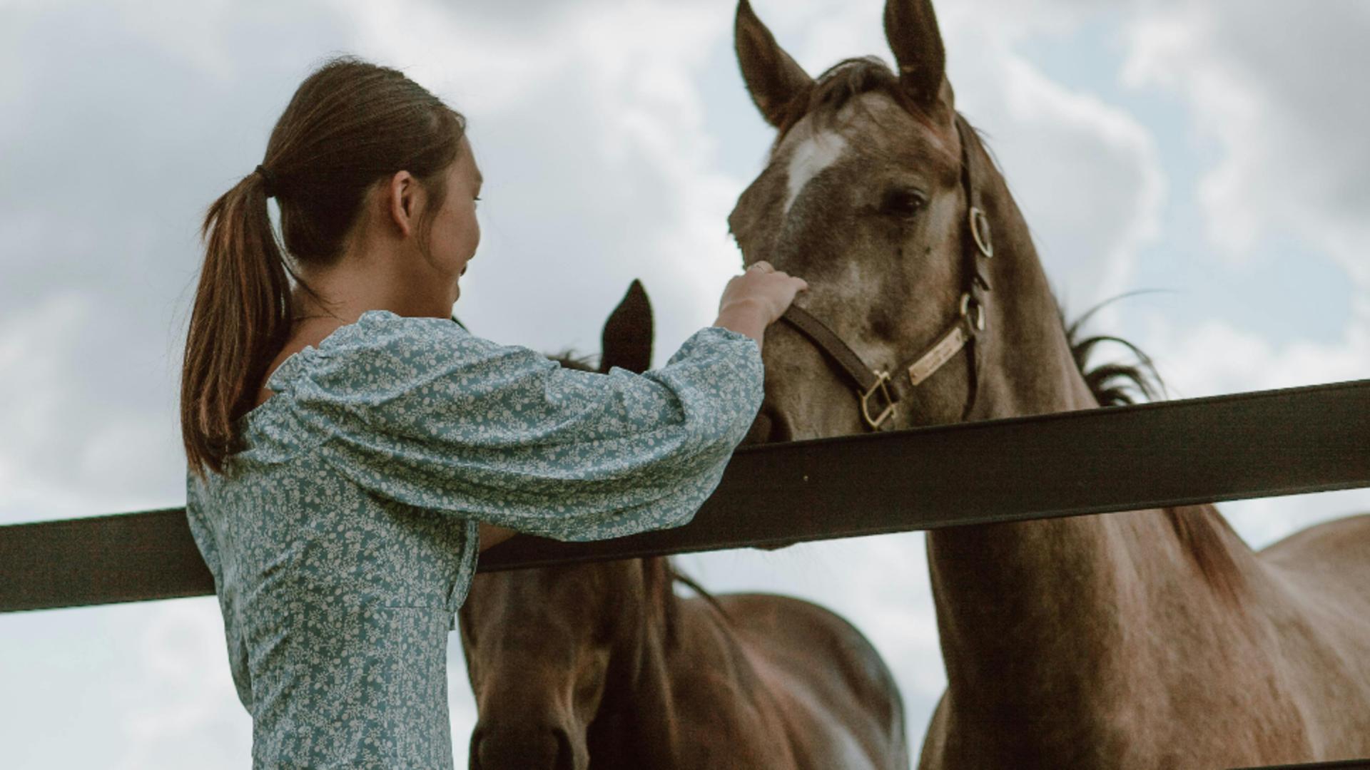 Care este animalul tău de companie ideal în funcție de zodie?