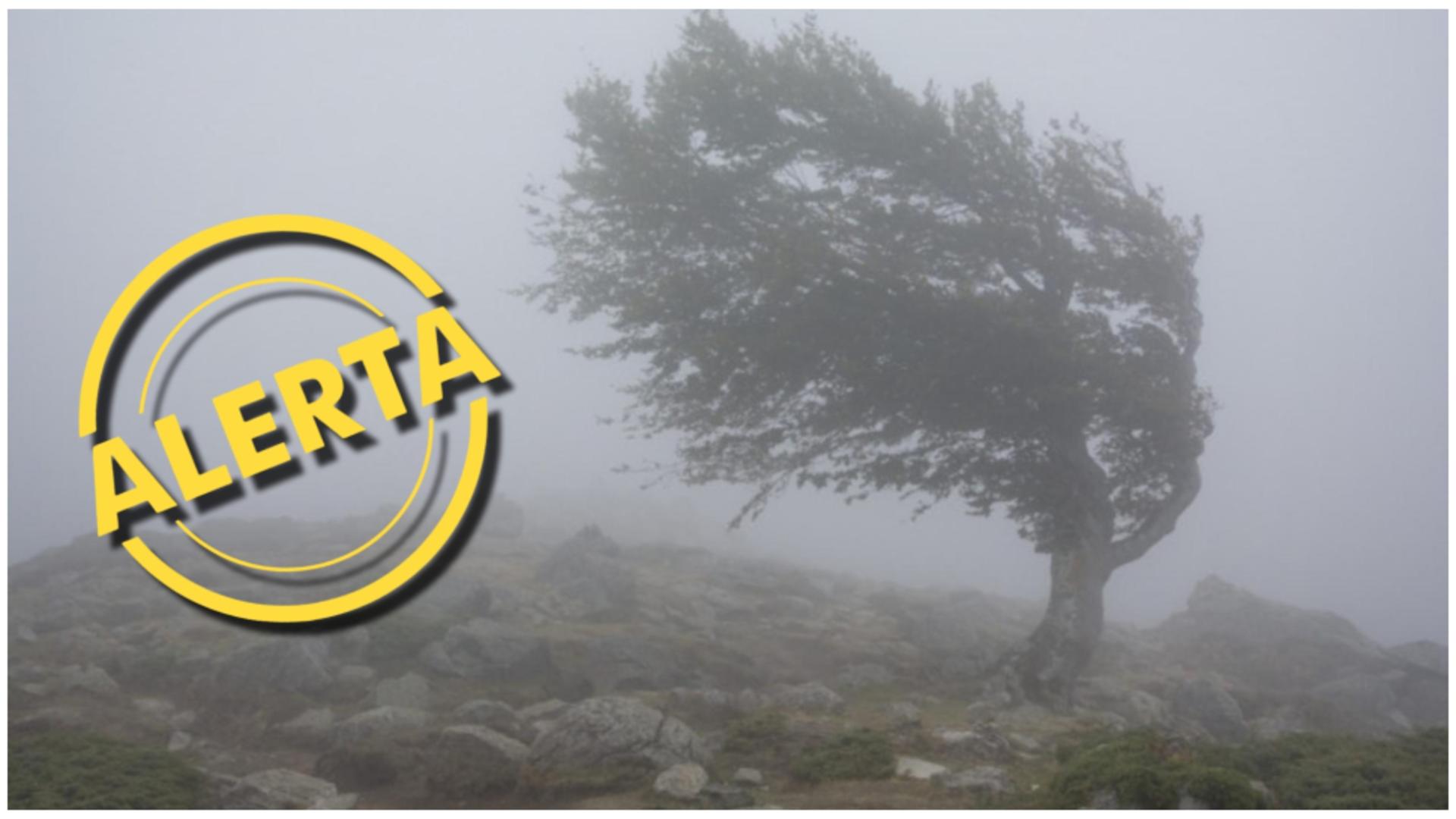 Cod galben de vânt puternic în patru județe din țară