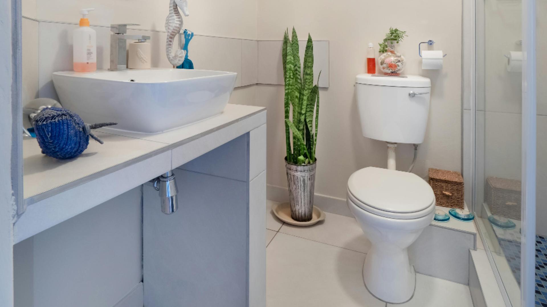 De ce se face praf în baie. Ce trebuie să faci ca sa previi apariția acestuia