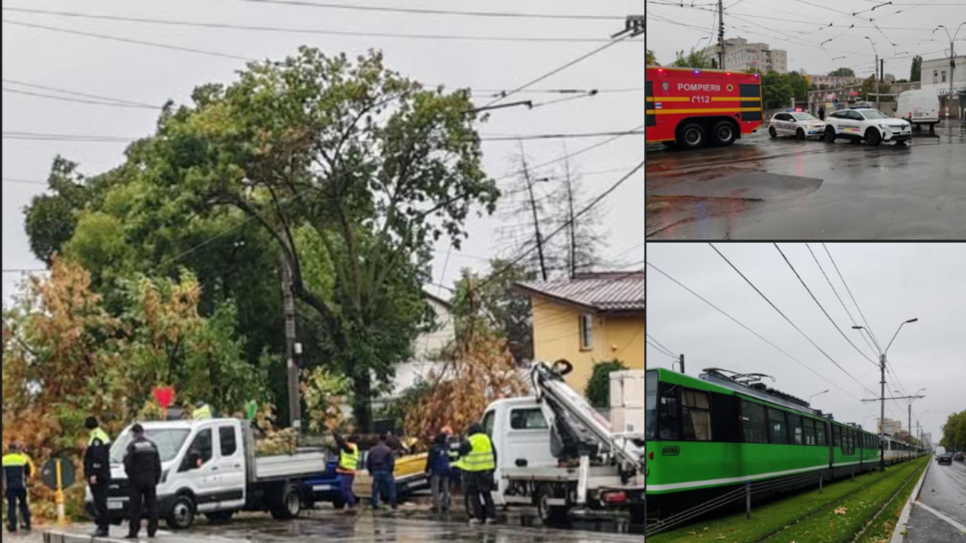 Codul portocaliu de vânt a făcut prăpăd în București și Ilfov: o victimă, după ce un copac a căzut peste o mașină în mers. Circulația tramvaielor, întreruptă pe Șoseau Giurgiului- FOTO/VIDEO