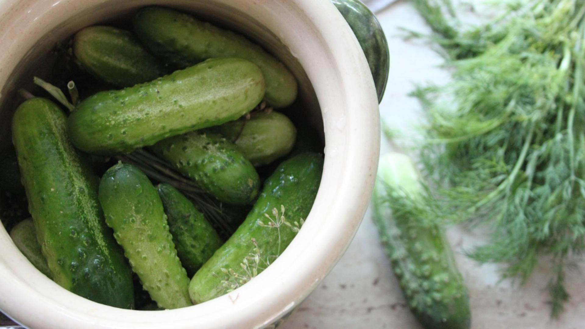 Condimentul care previne formarea mucegaiului pe murături. Ce trebuie să știe toate gospodinele